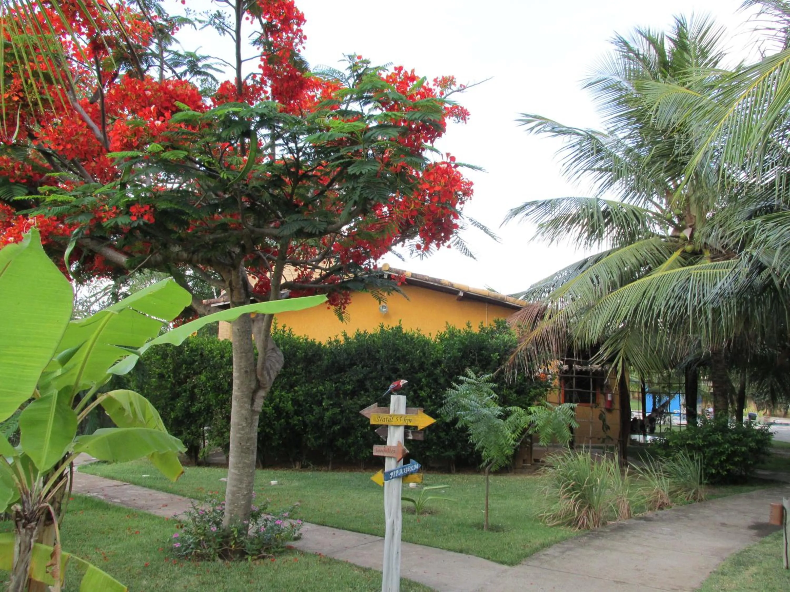 Garden in Hotel Enseada Maracajaú