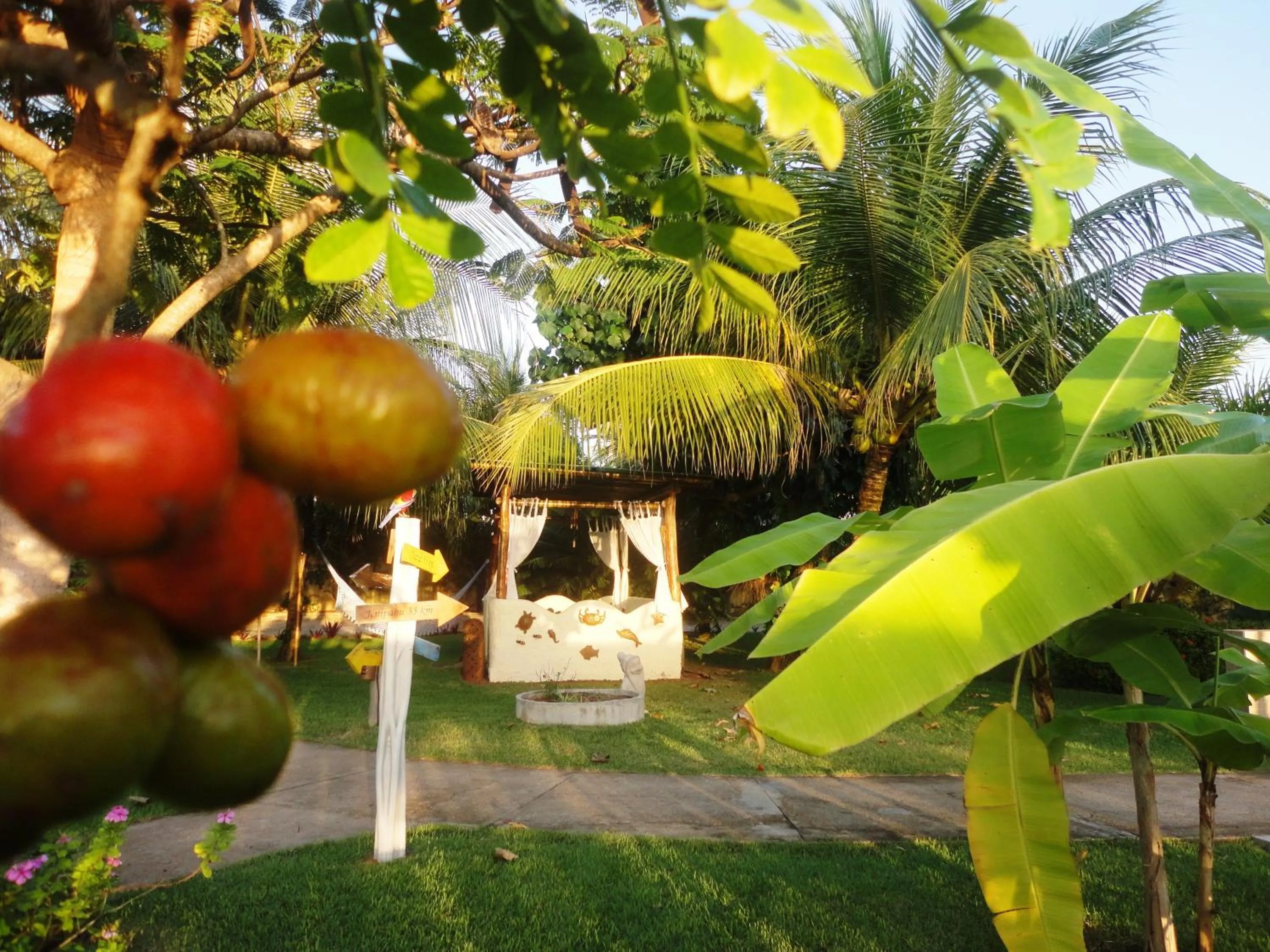 Garden in Hotel Enseada Maracajaú