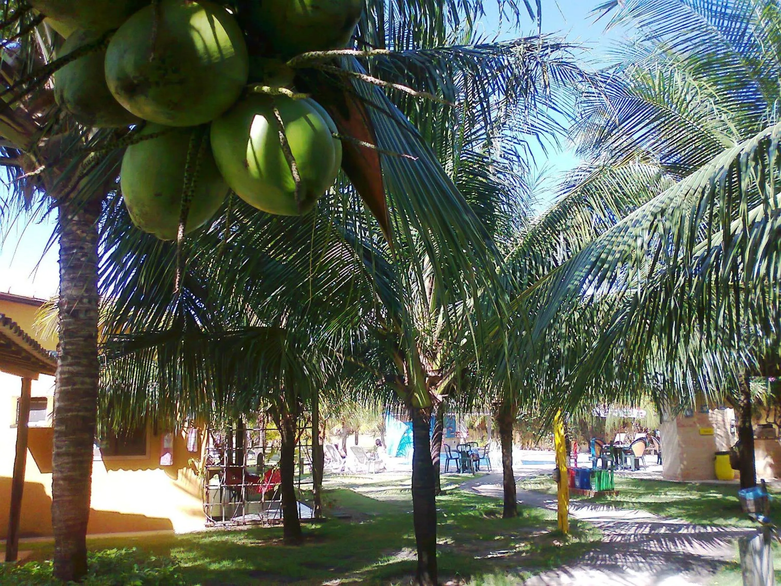 Garden in Hotel Enseada Maracajaú