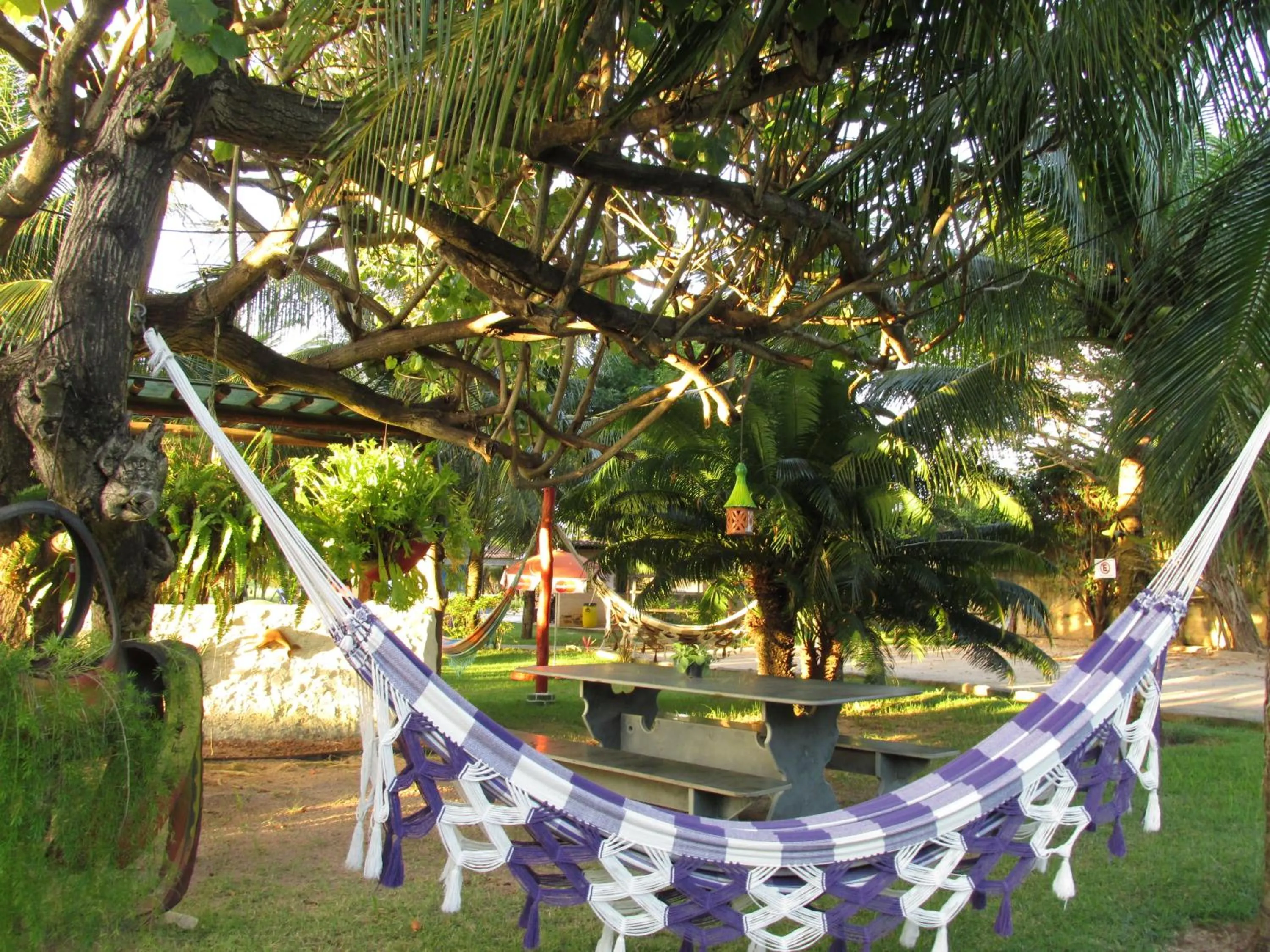 Garden in Hotel Enseada Maracajaú