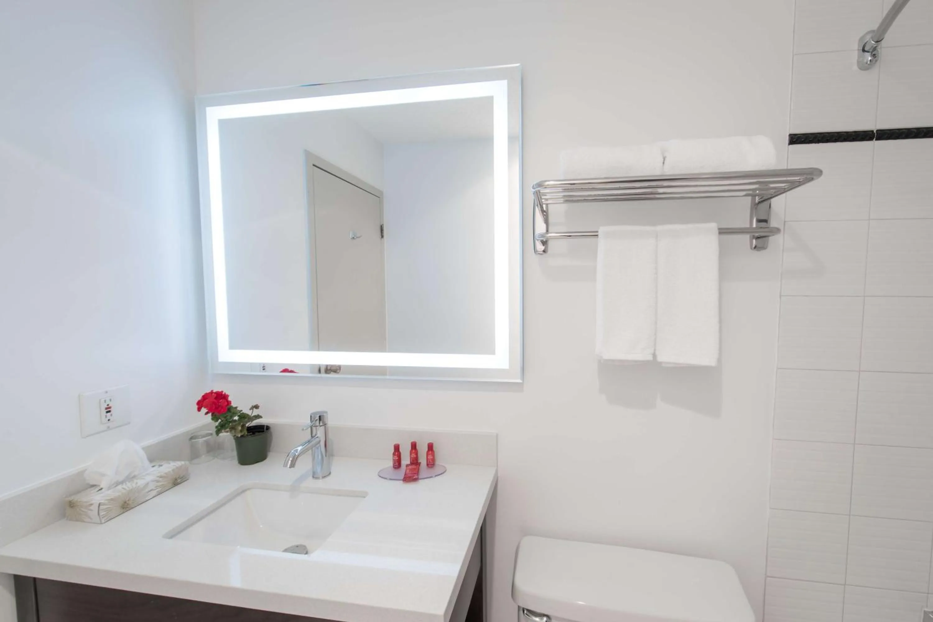 Bathroom in SureStay Hotel by Best Western Castlegar
