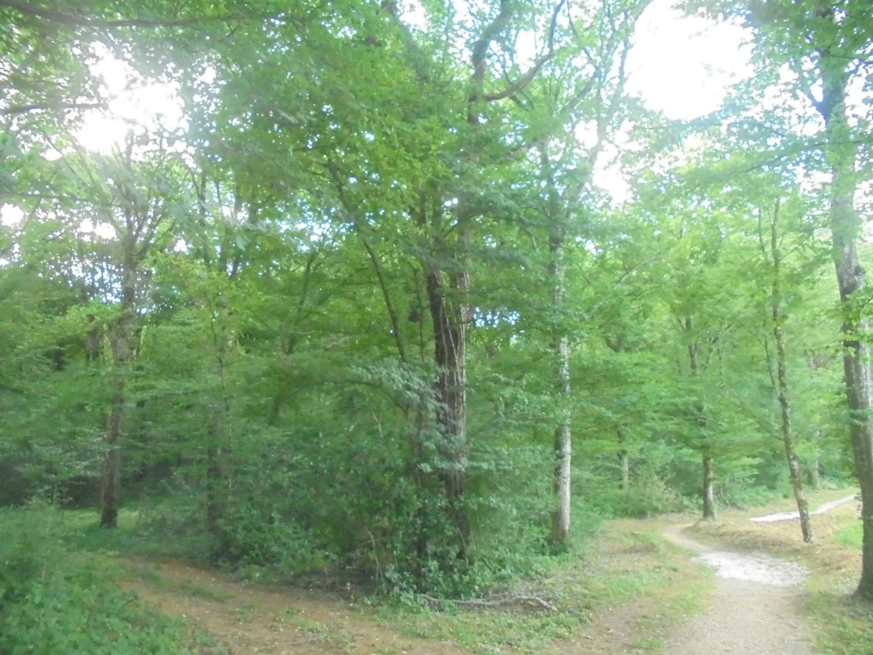 Landmark view in Gîtes de l'Orée du Bois - Boussières