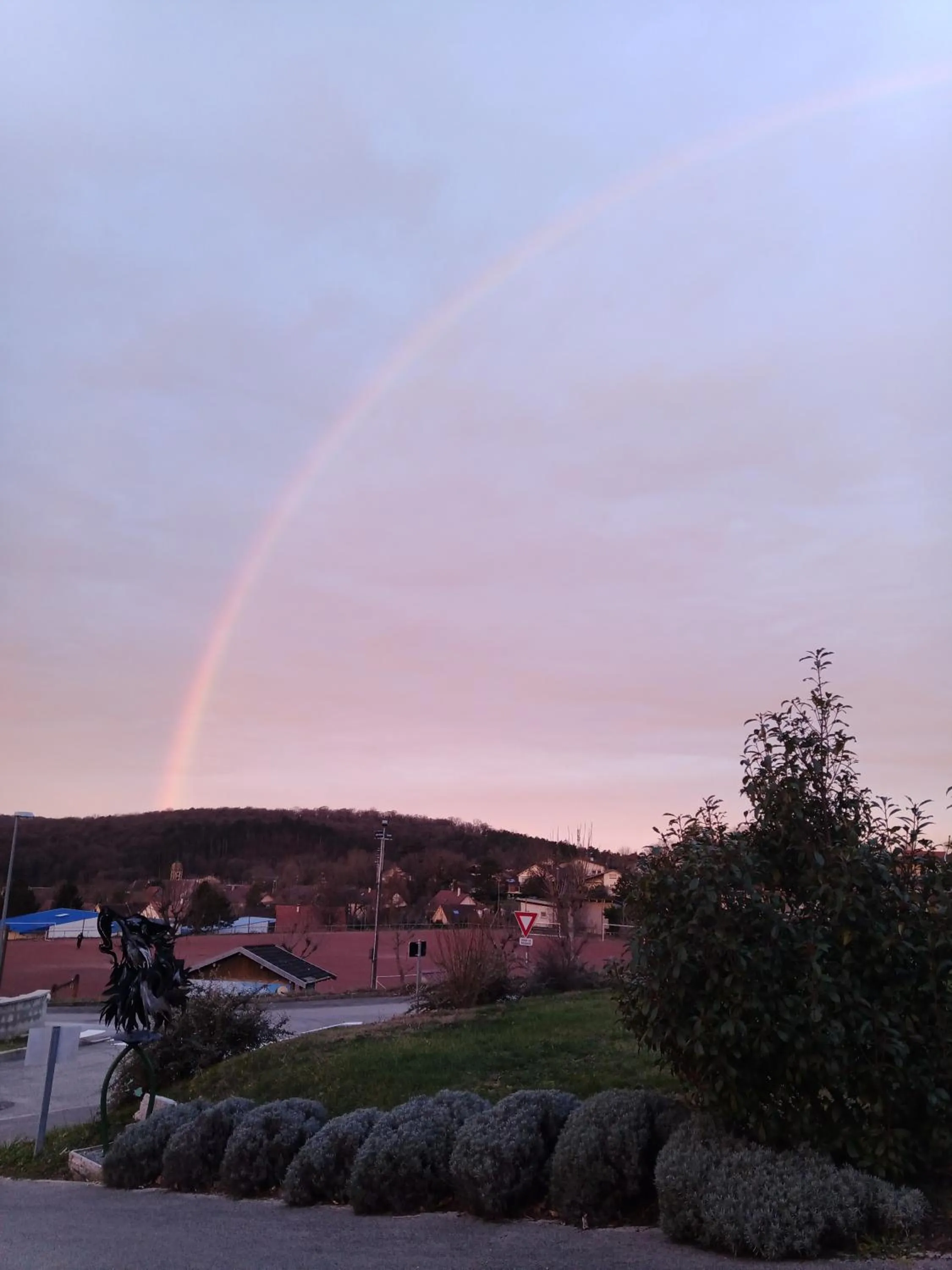 Natural landscape in Gîtes de l'Orée du Bois - Boussières