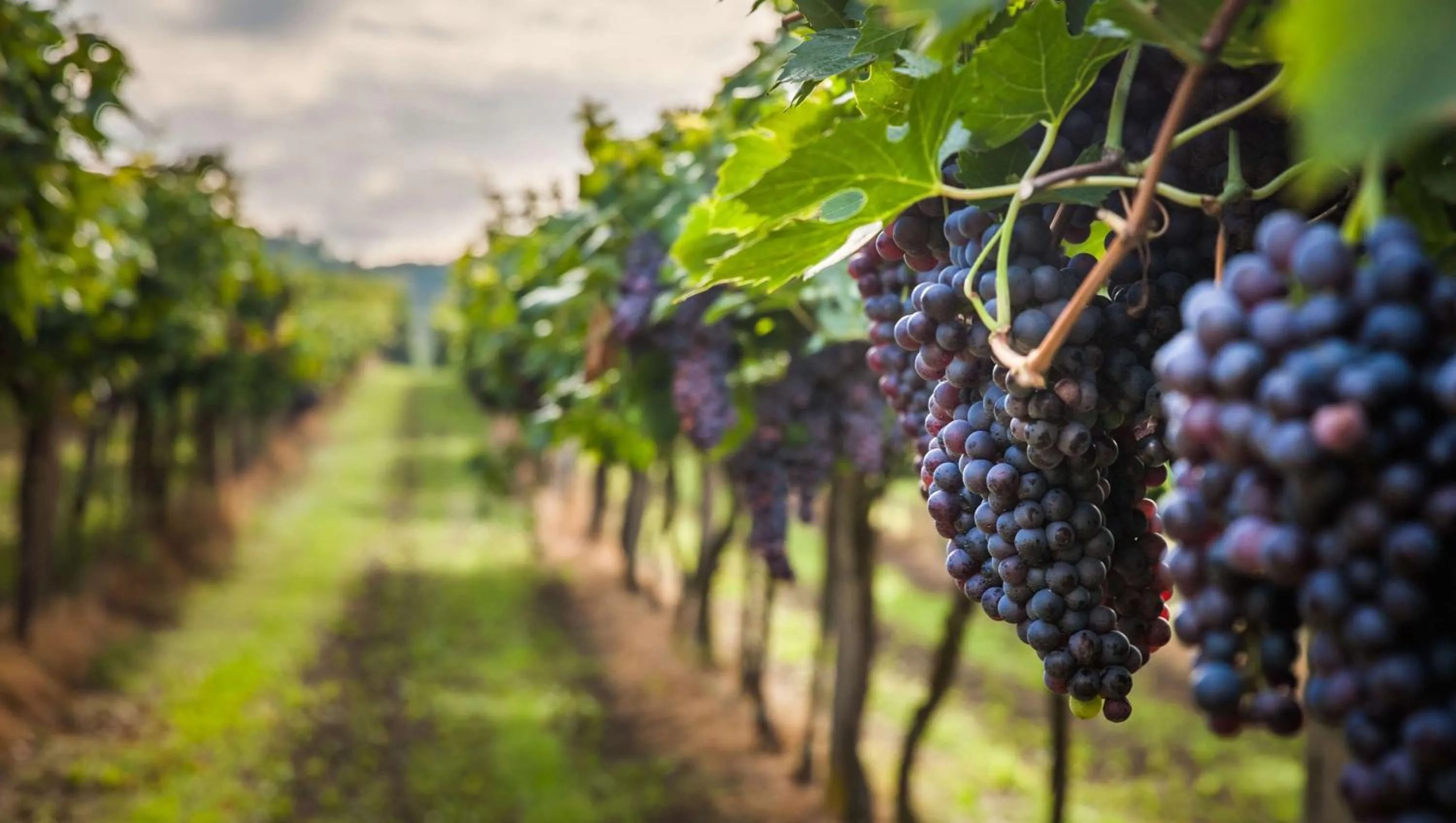 Nearby landmark in Royal Inn Rockville