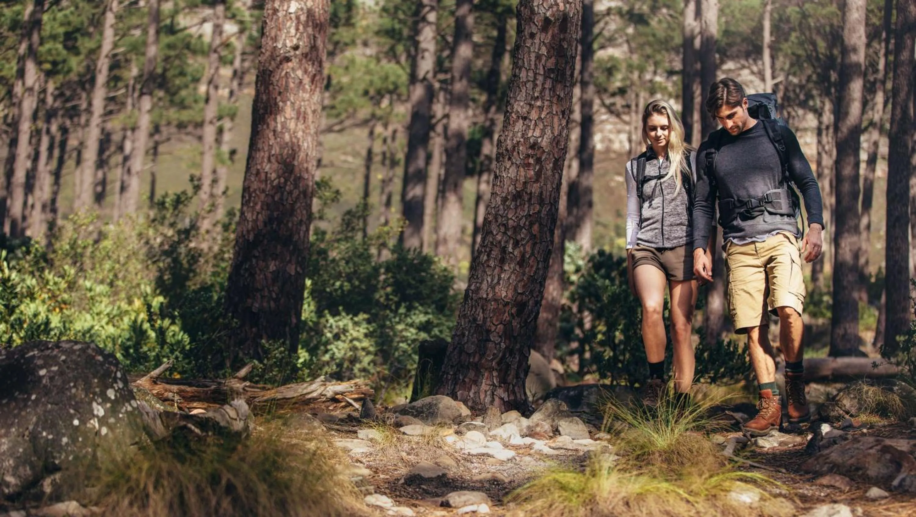 Nearby landmark in Royal Inn Rockville