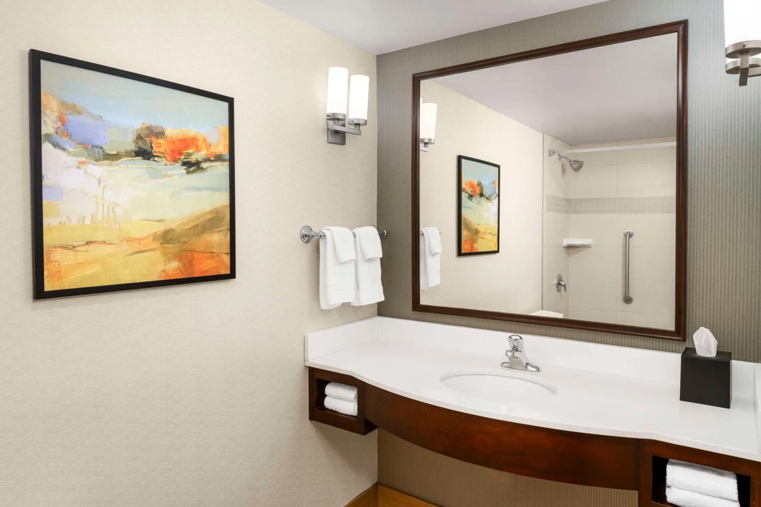 Bathroom in Hilton Garden Inn Ogden