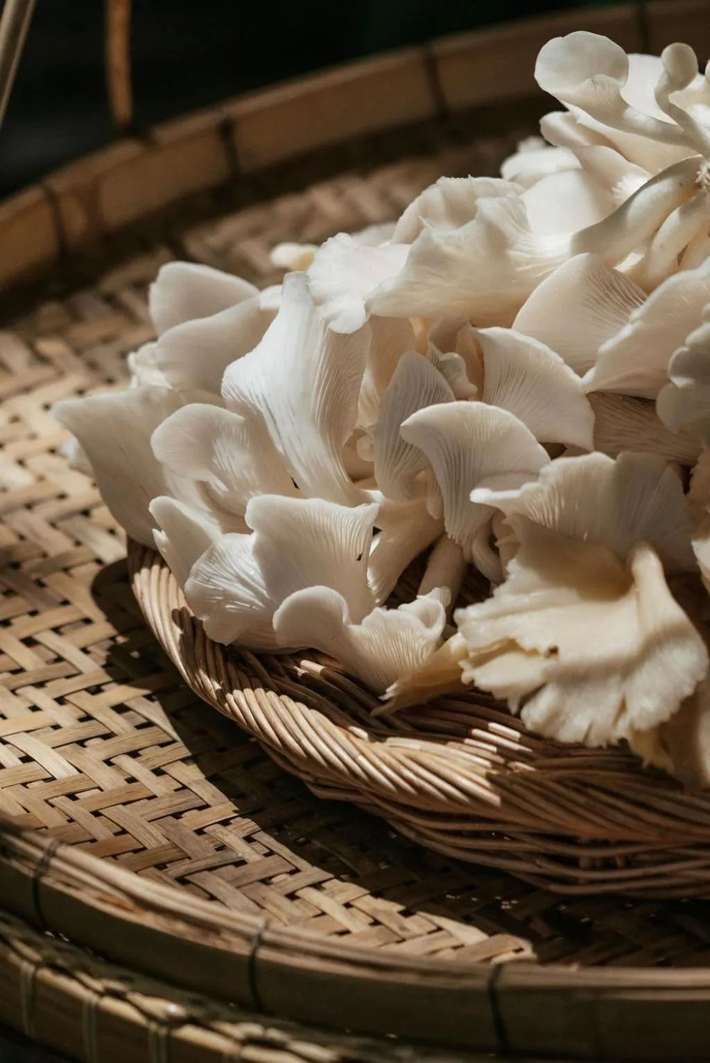 Garden in Song Saa Private Island