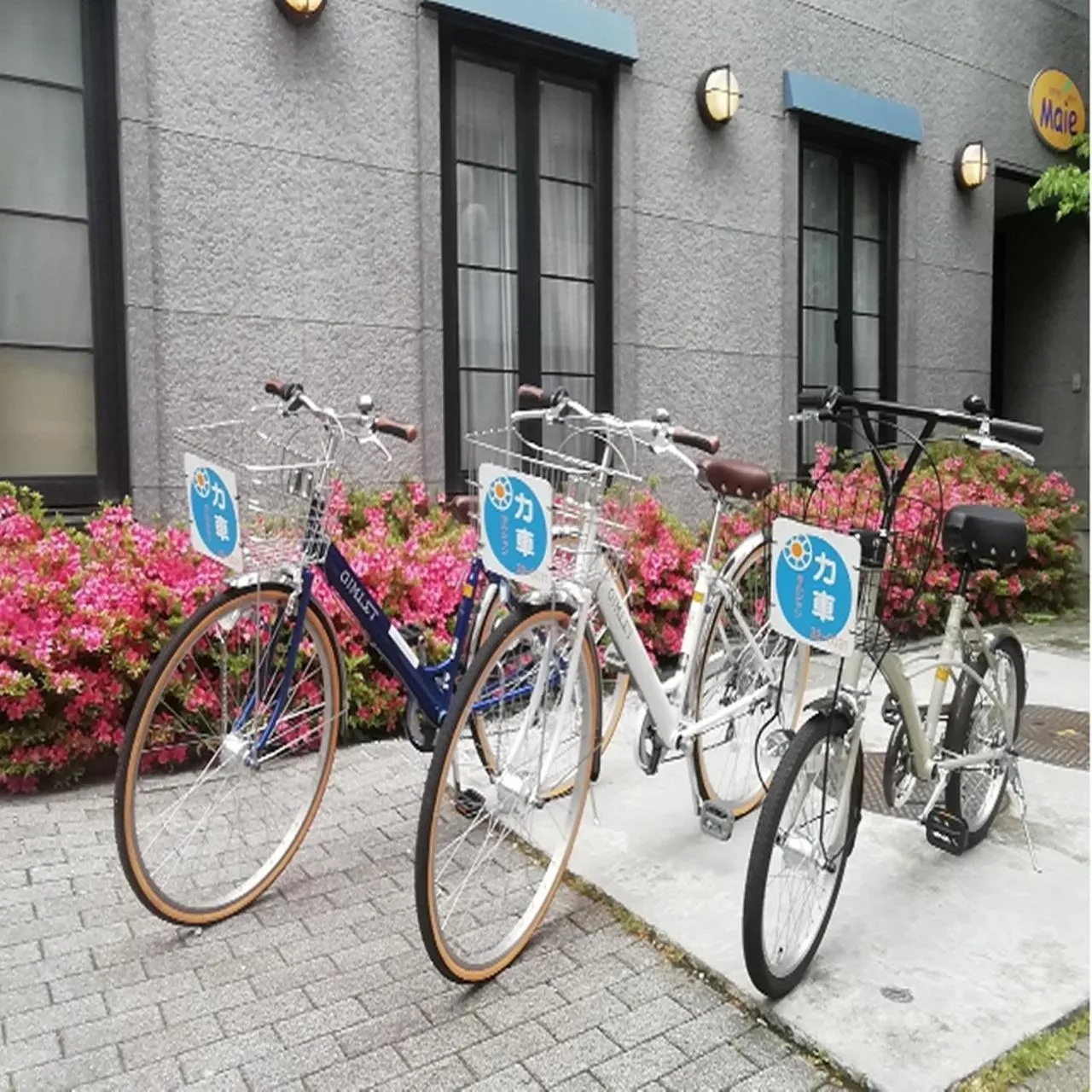 Cycling in Hotel Morschein