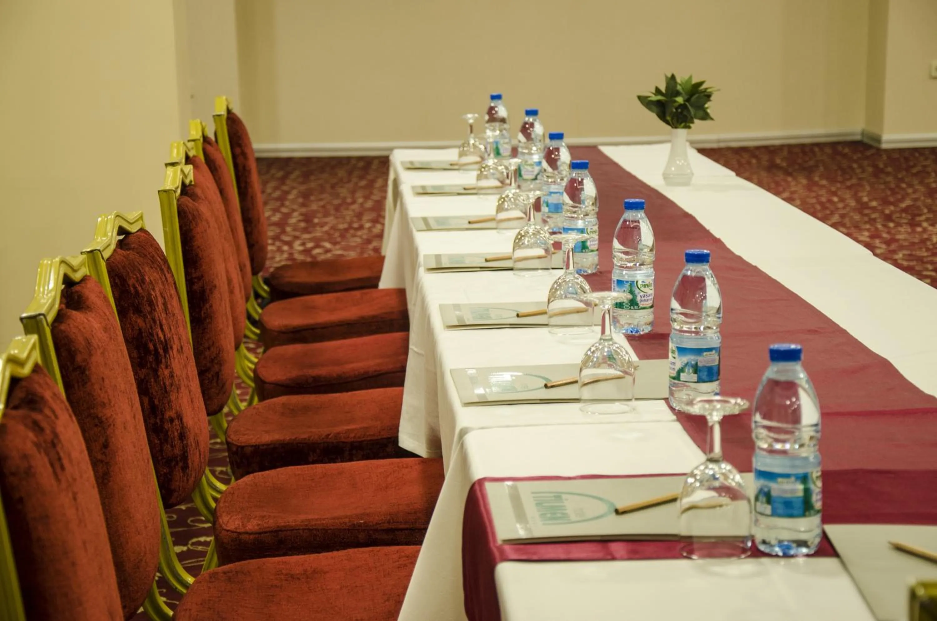 Banquet/Function facilities in Hotel Tilmen