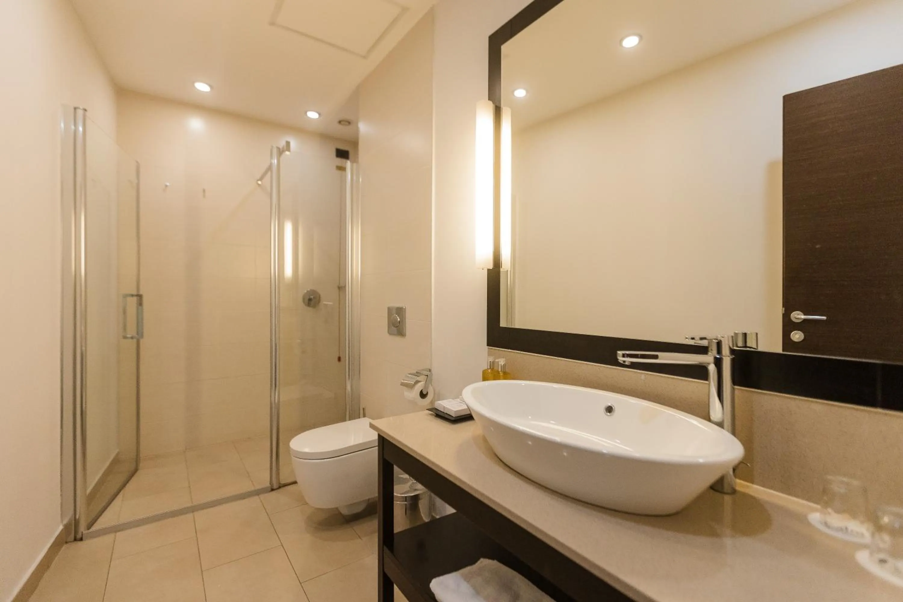 Shower in Hotel Timisoara