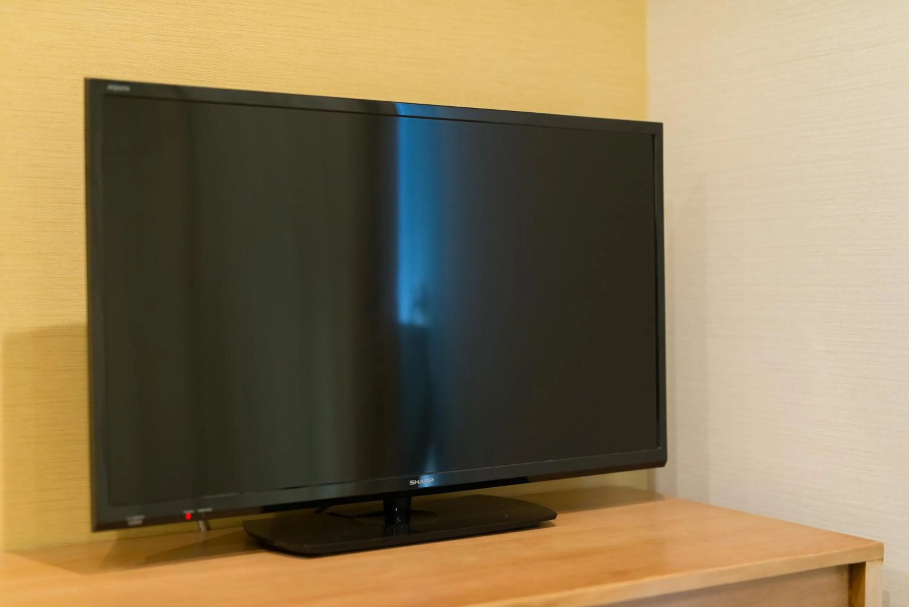 TV and multimedia in Stay SAKURA Kyoto Shijo Karasuma