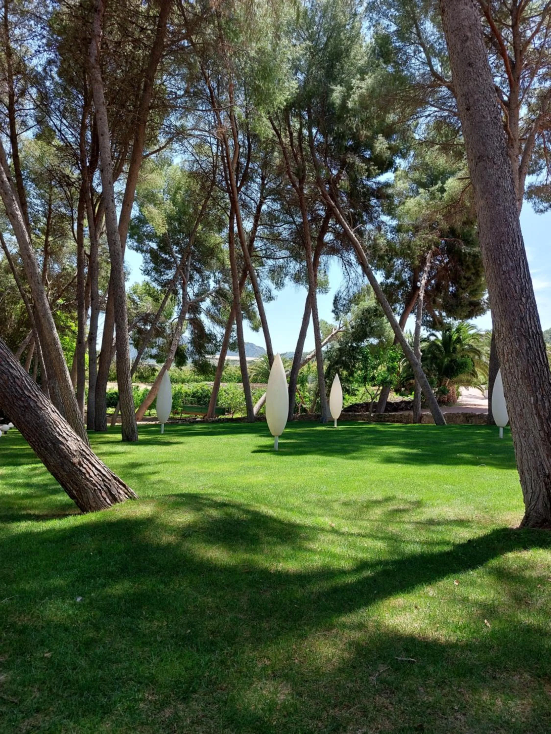 Garden in Casa de La Campana