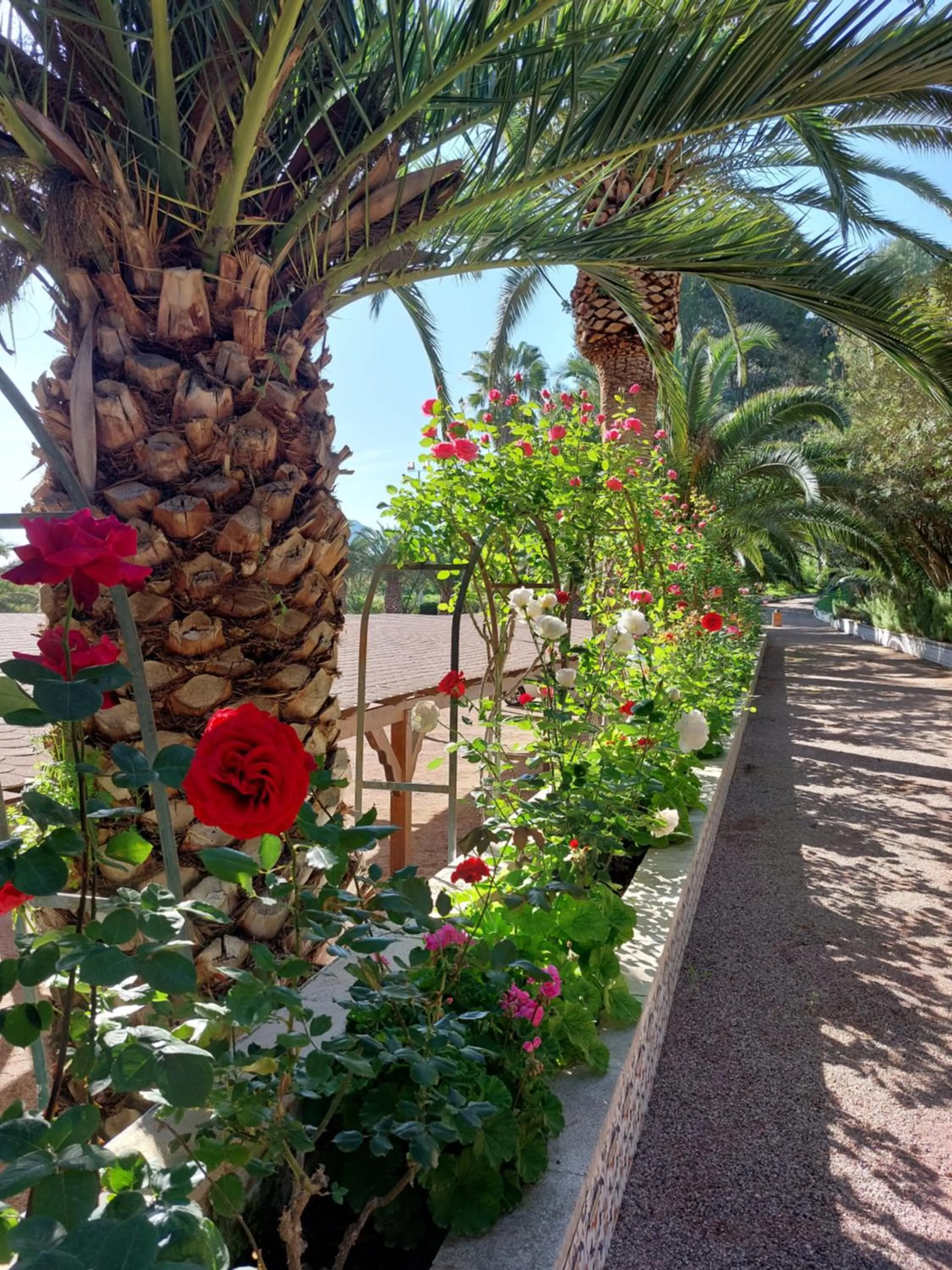 Garden in Casa de La Campana
