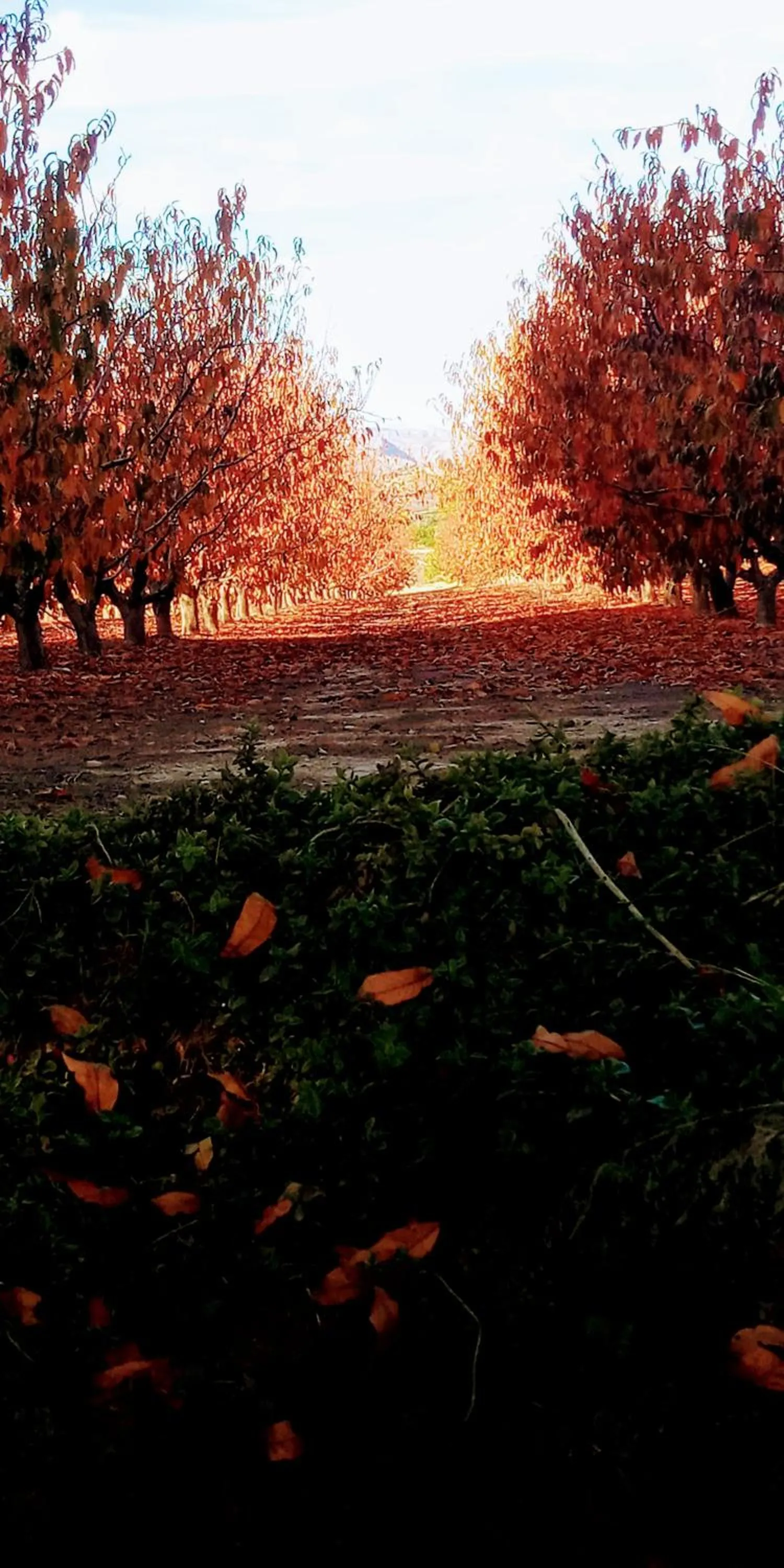 Activities in Casa de La Campana