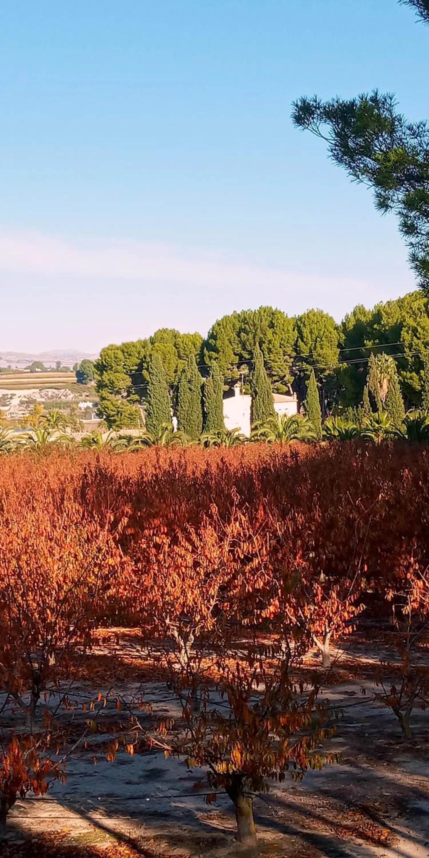 Landmark view in Casa de La Campana