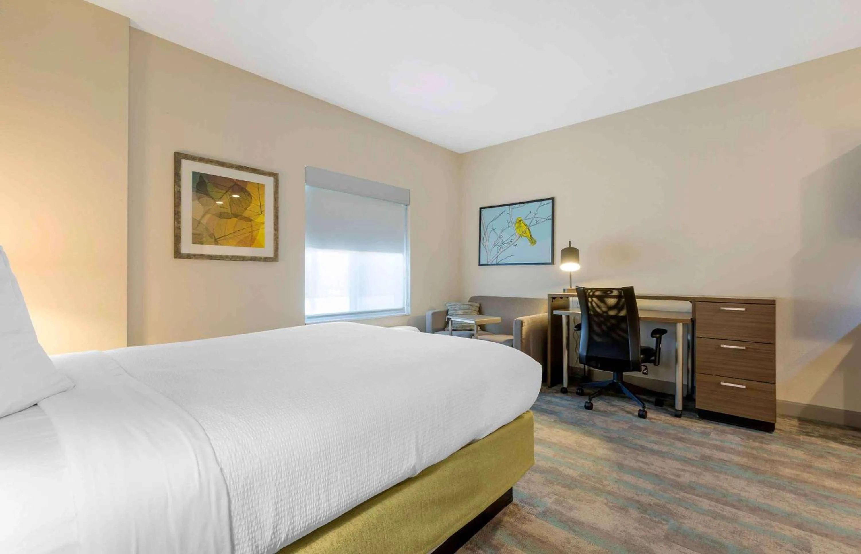 Bedroom, Bed in Extended Stay America Premier Suites - Greenville - Woodruff Road