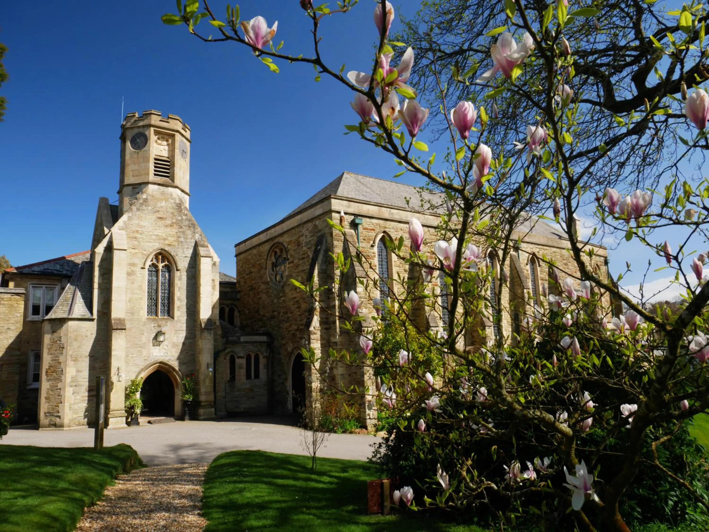 Garden in The Alverton