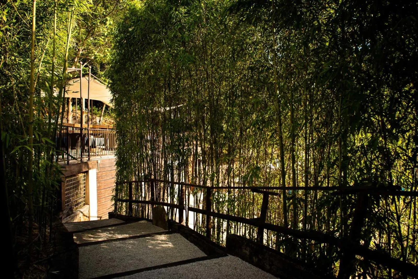 Natural landscape in Le Belvedere