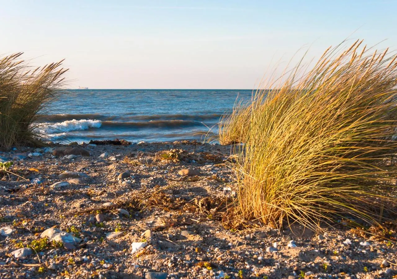 Beach in Lindenhof Hotel Garni