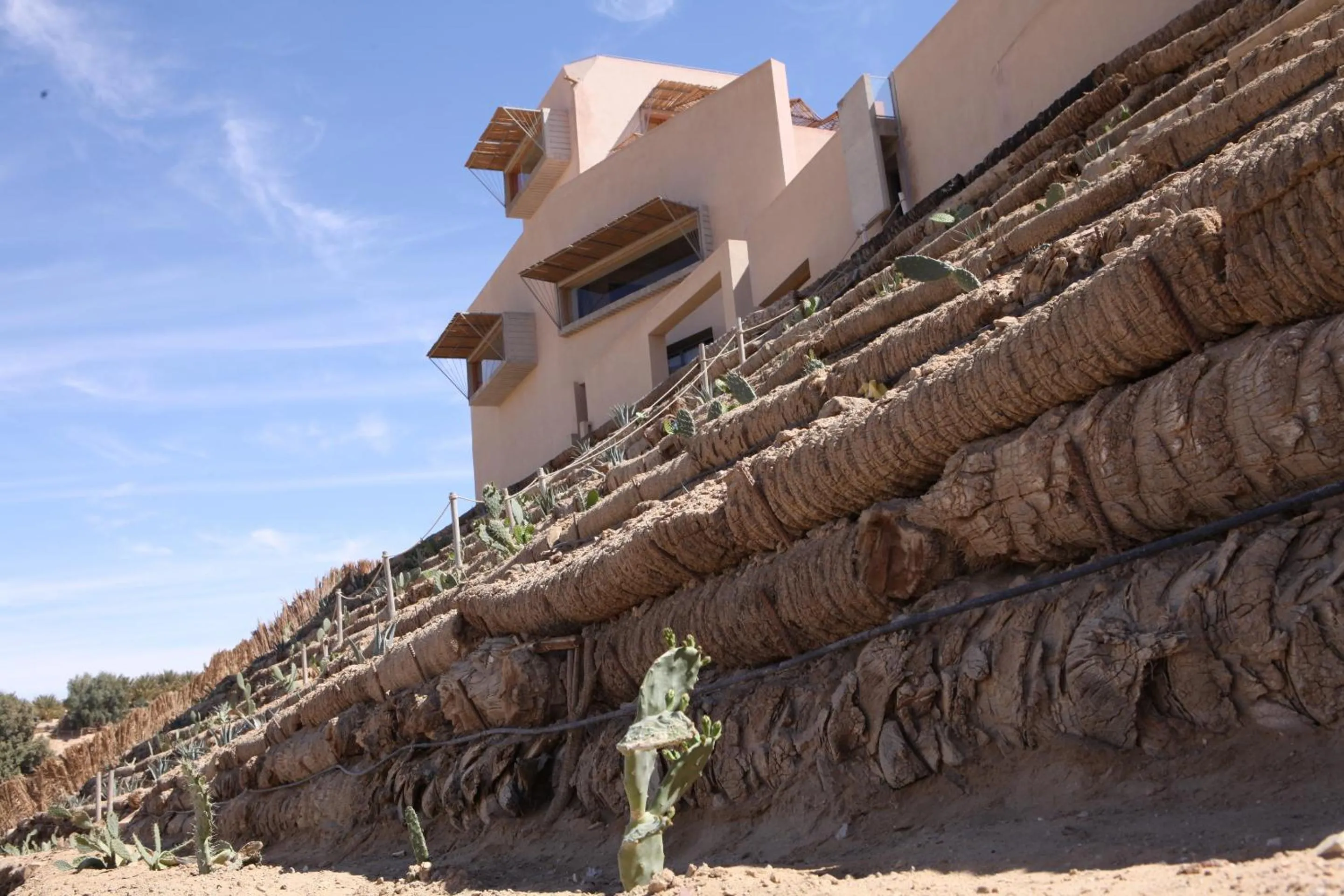 Garden in Hotel Dar Hi