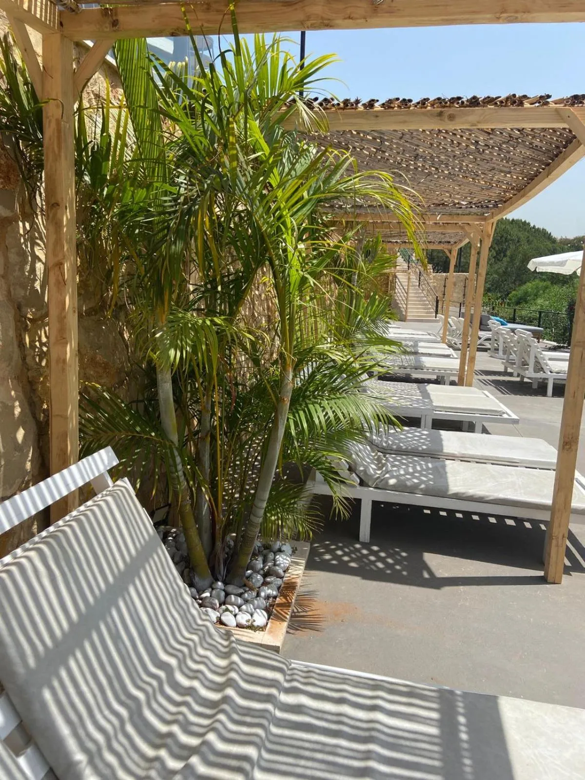 Patio in The Ray Hotel and Studios