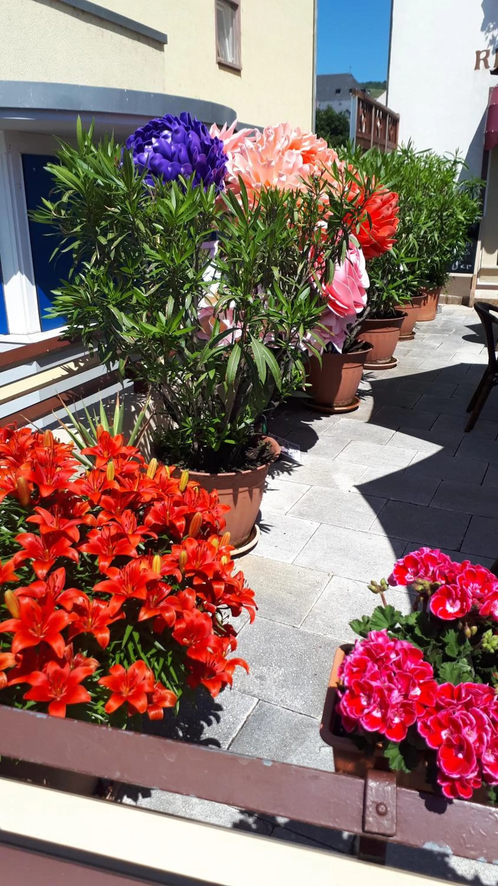 Property building in Hotel Krone Rüdesheim