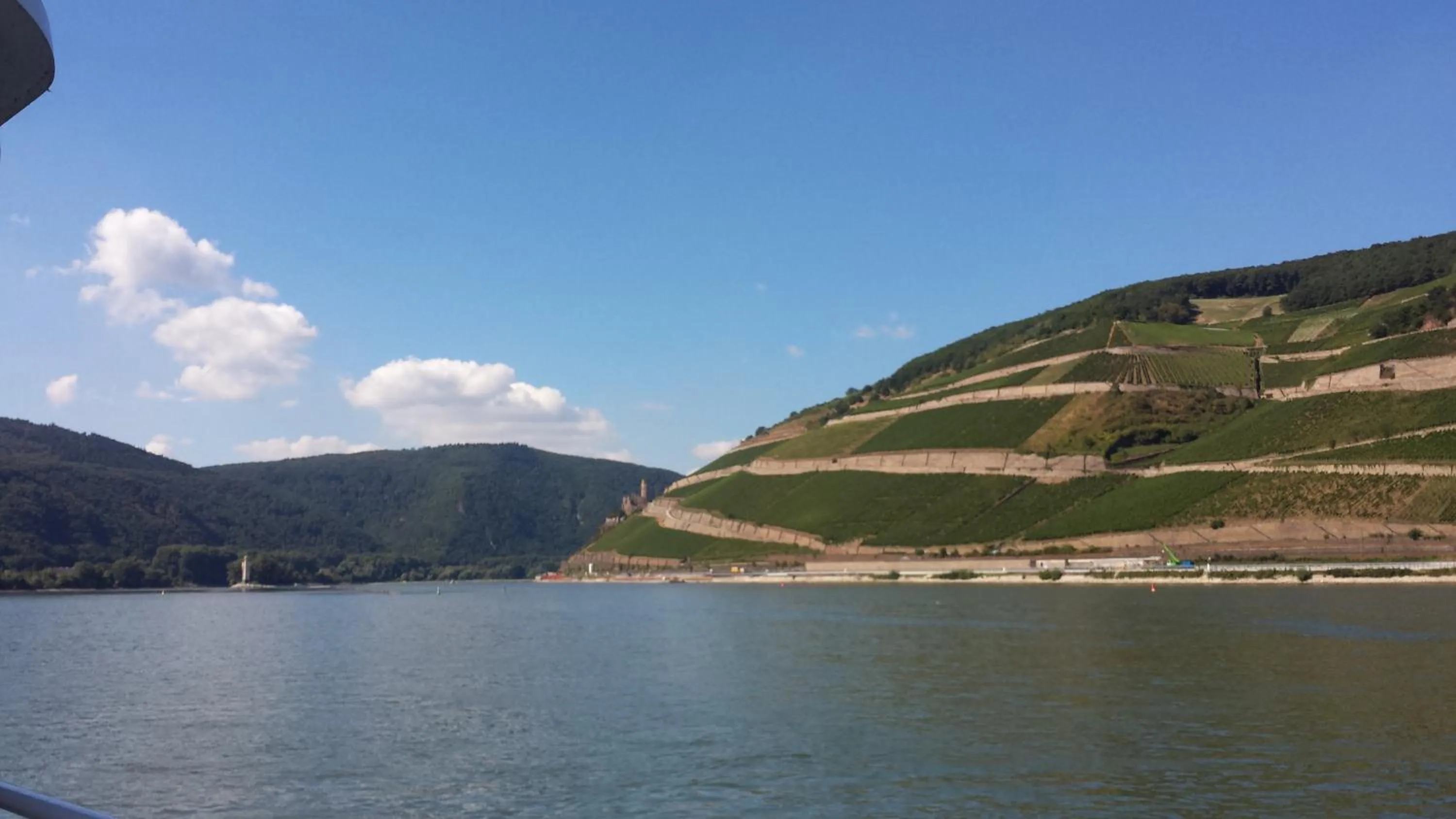 Natural landscape in Hotel Krone Rüdesheim