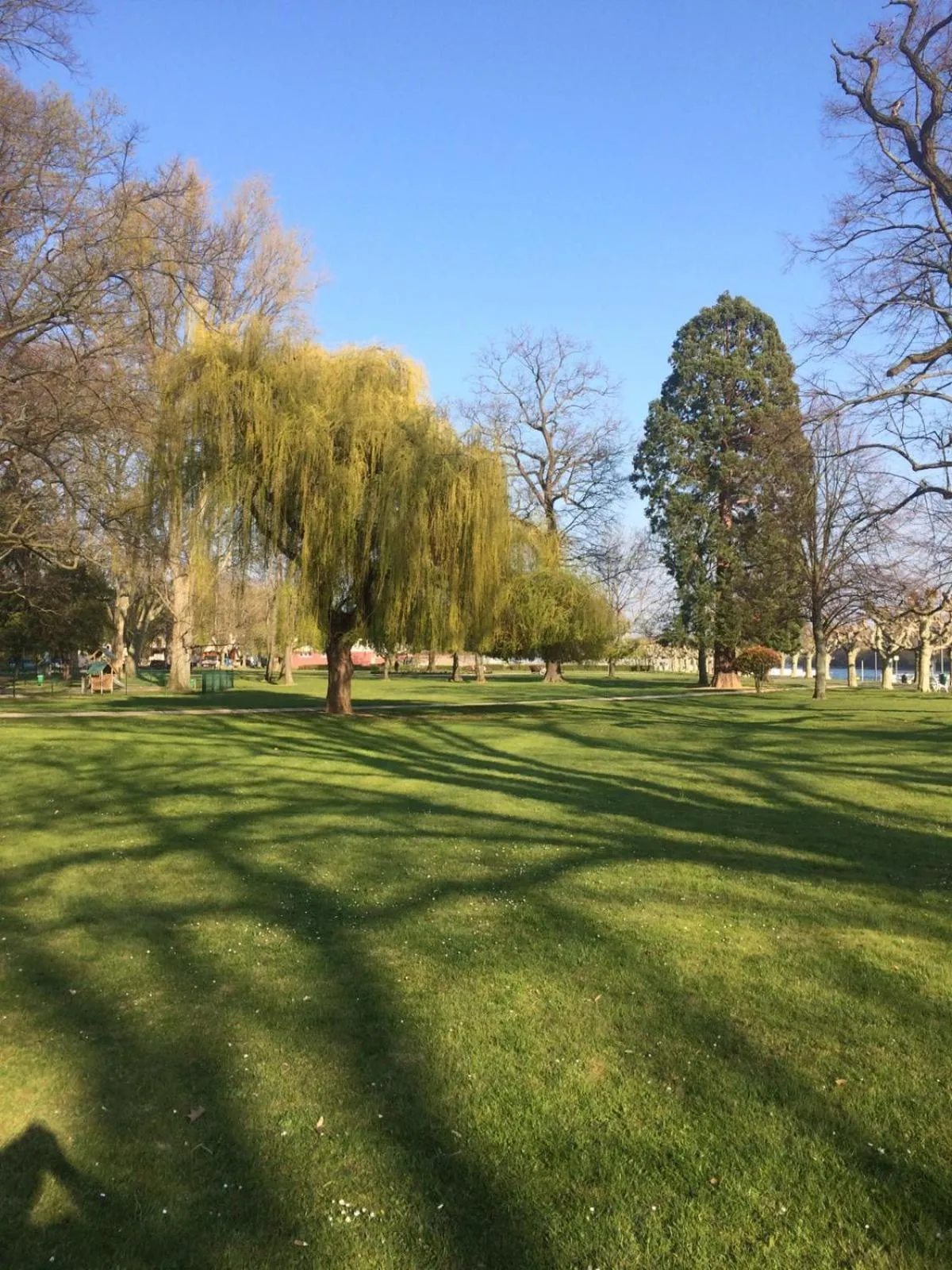 Natural landscape in Hotel Krone Rüdesheim
