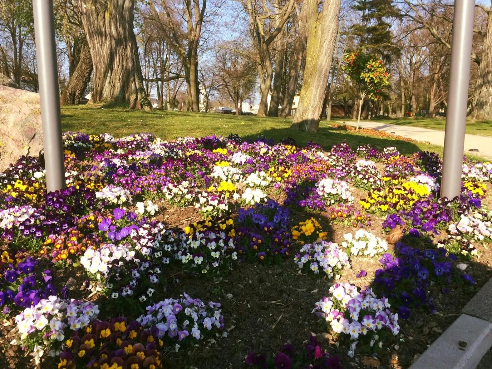 Natural landscape in Hotel Krone Rüdesheim