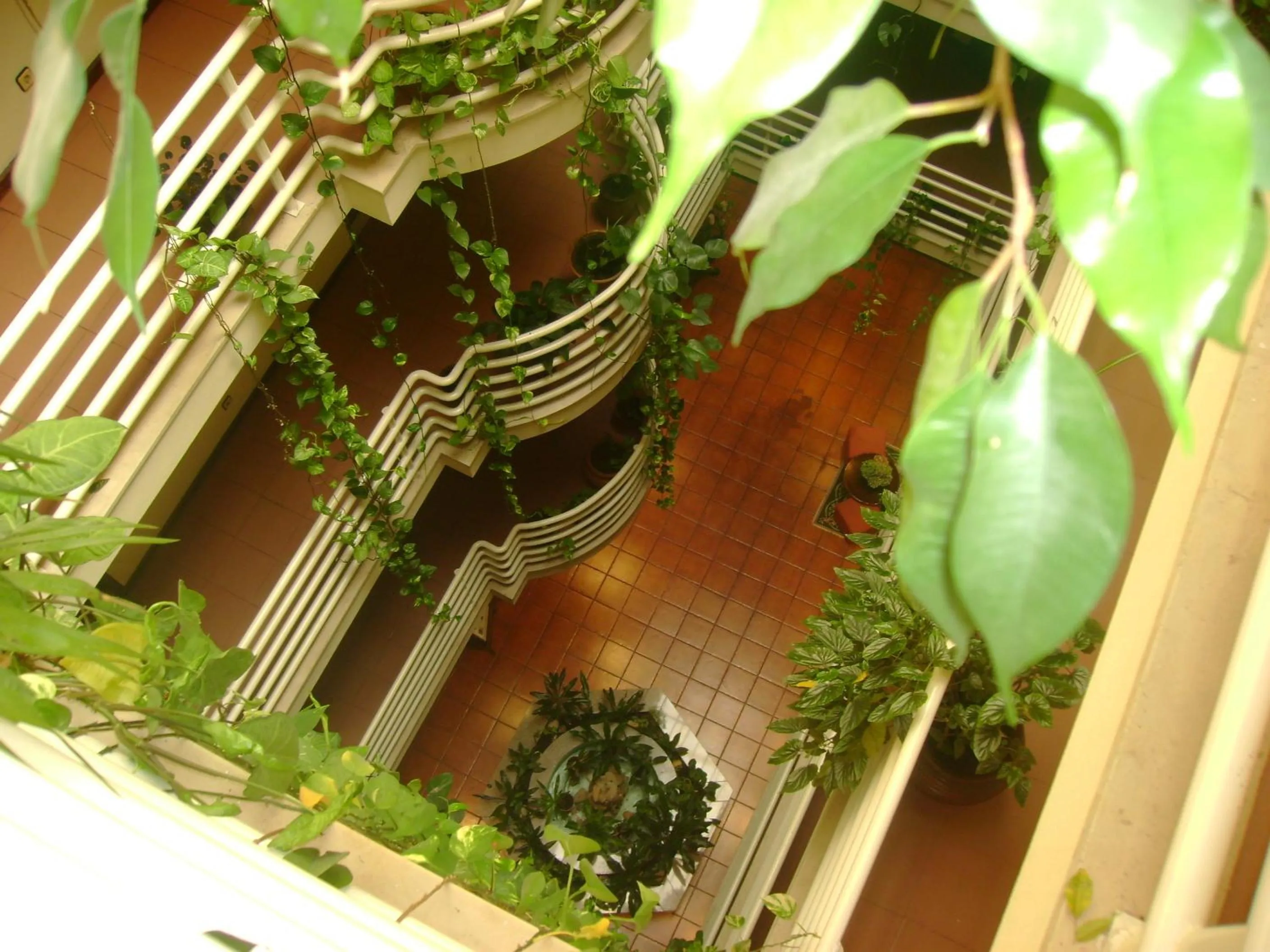 Decorative detail in Hotel Pantanha Nature & Fitness