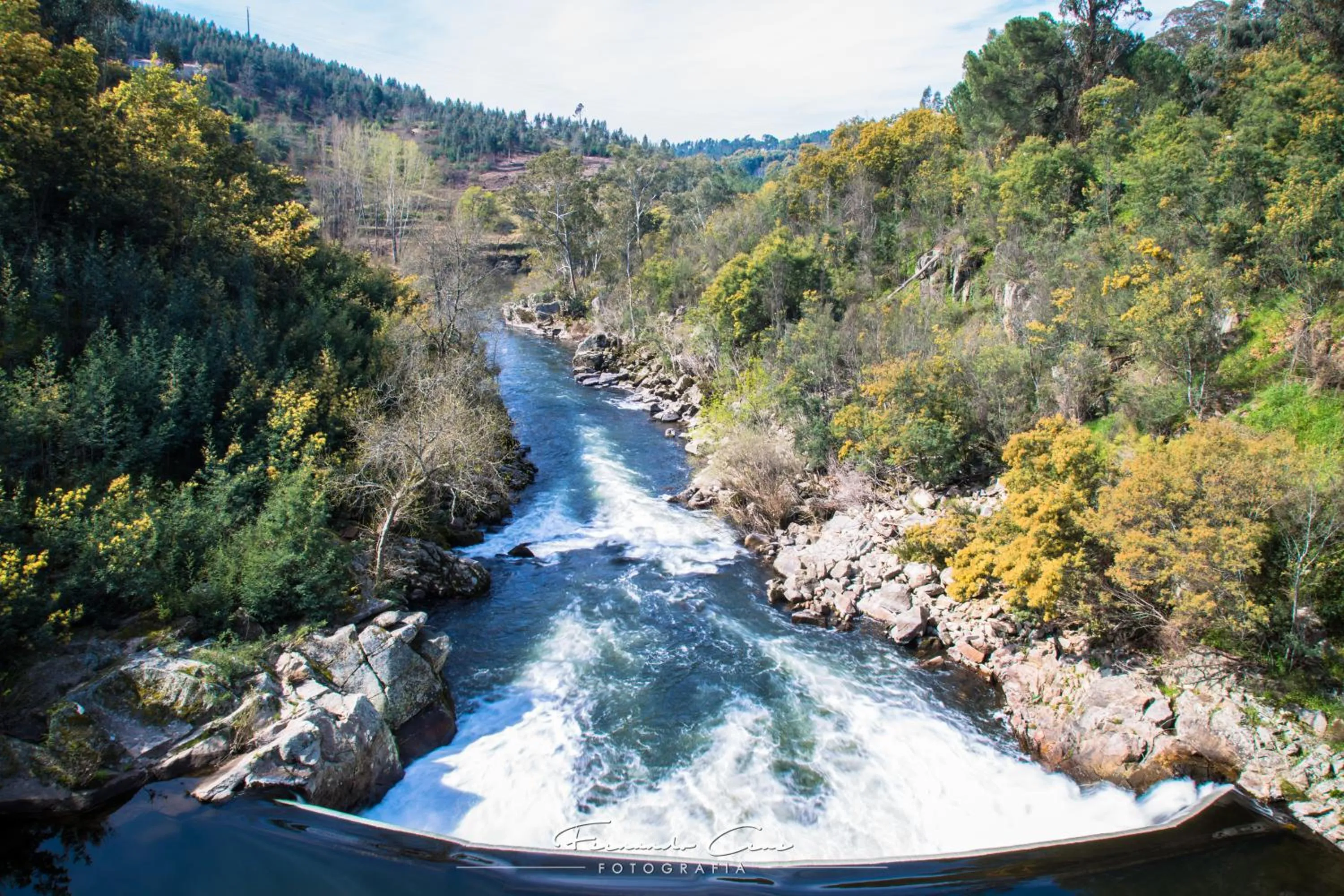 Entertainment in Hotel Pantanha Nature & Fitness