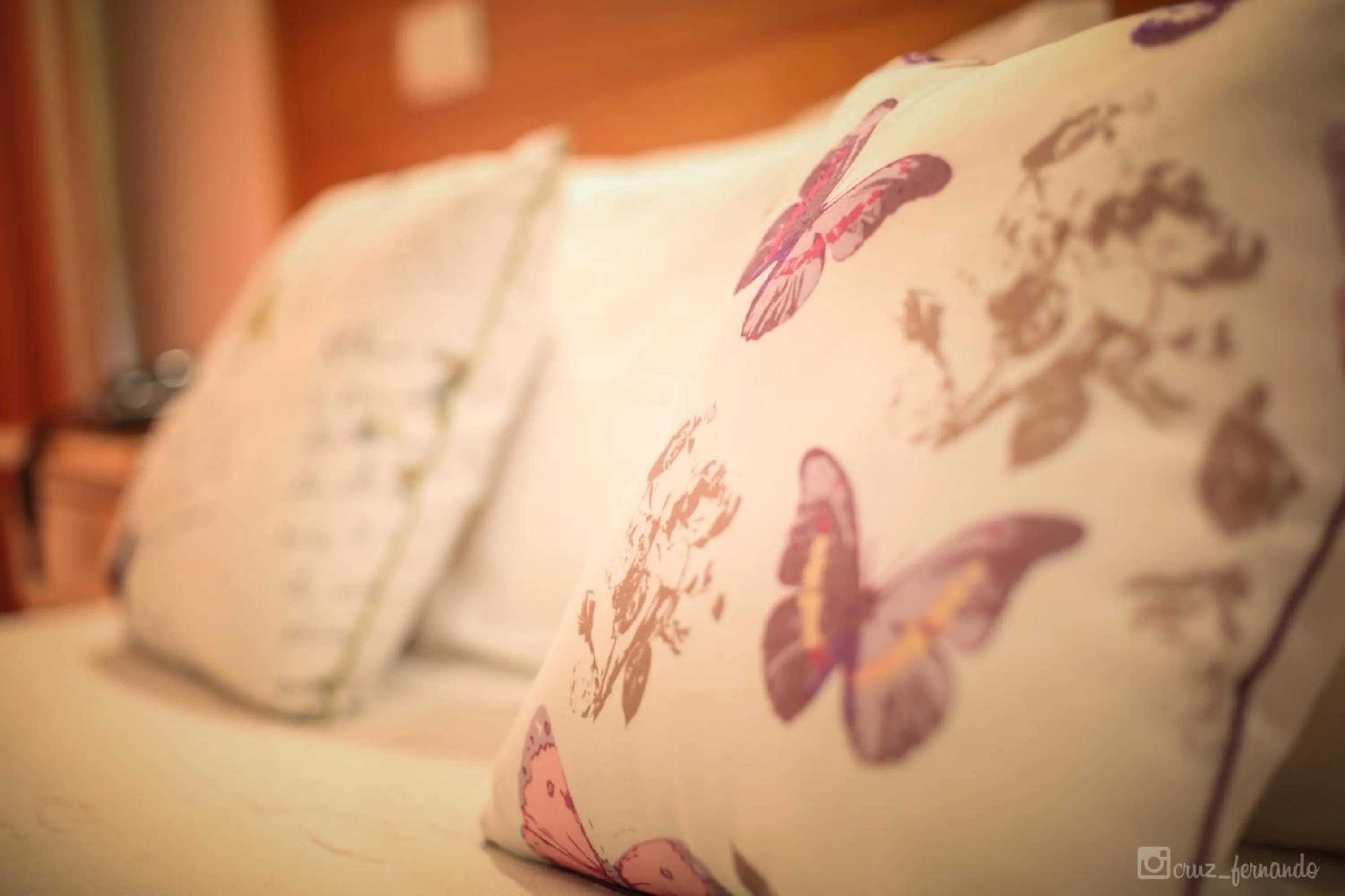 Other, Bed in Hotel Pantanha Nature & Fitness