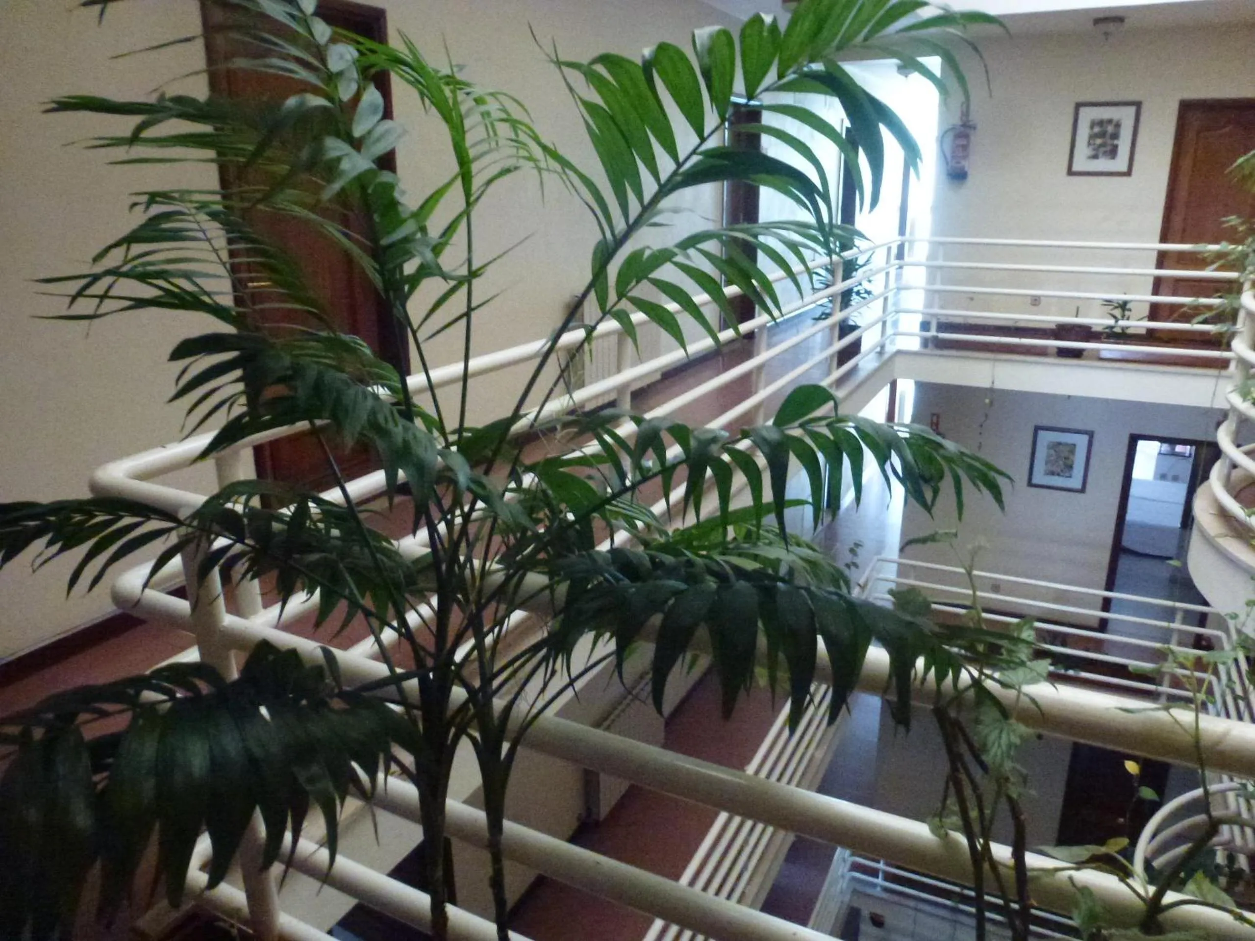 Decorative detail in Hotel Pantanha Nature & Fitness