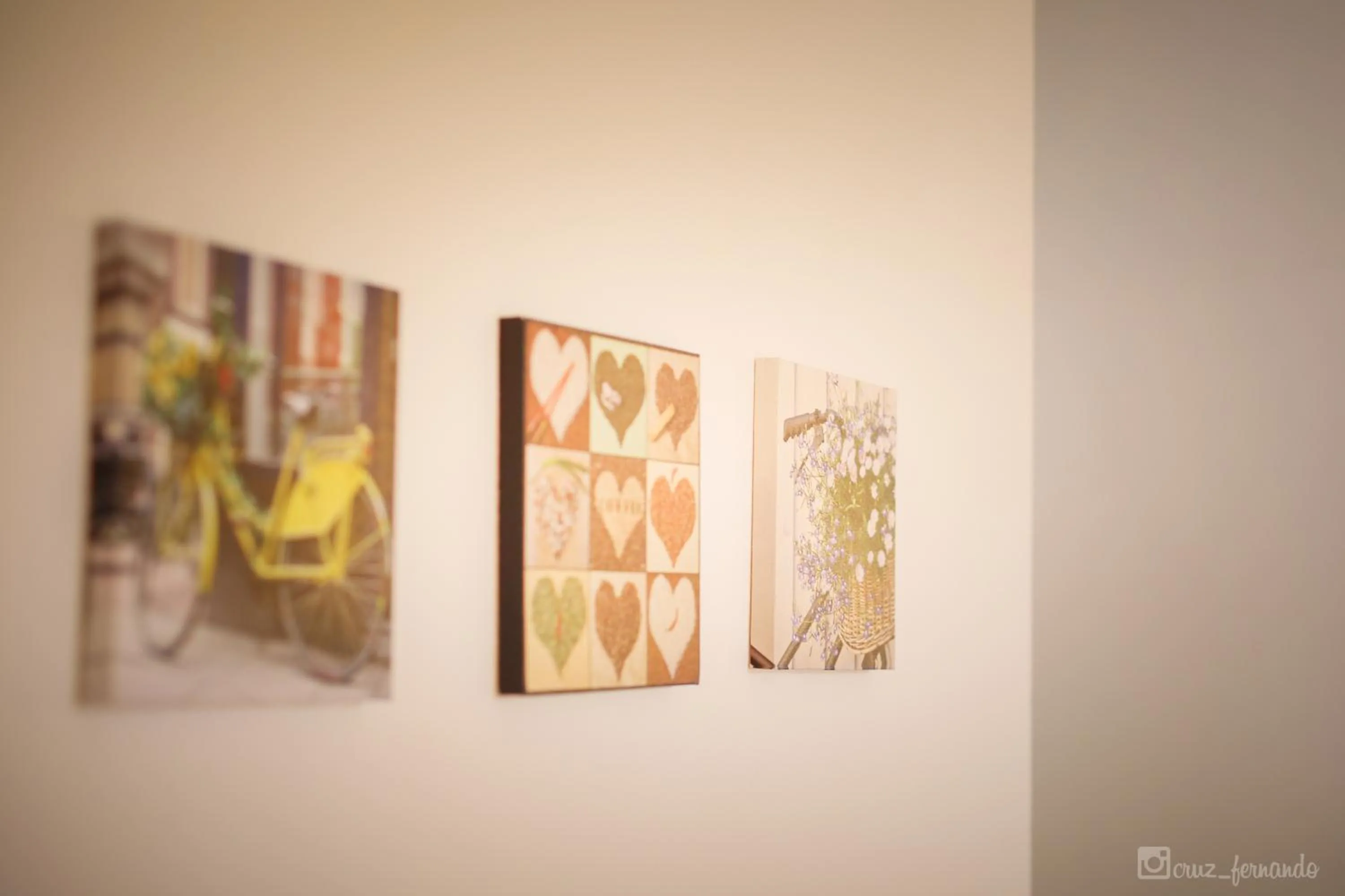 Photo of the whole room in Hotel Pantanha Nature & Fitness