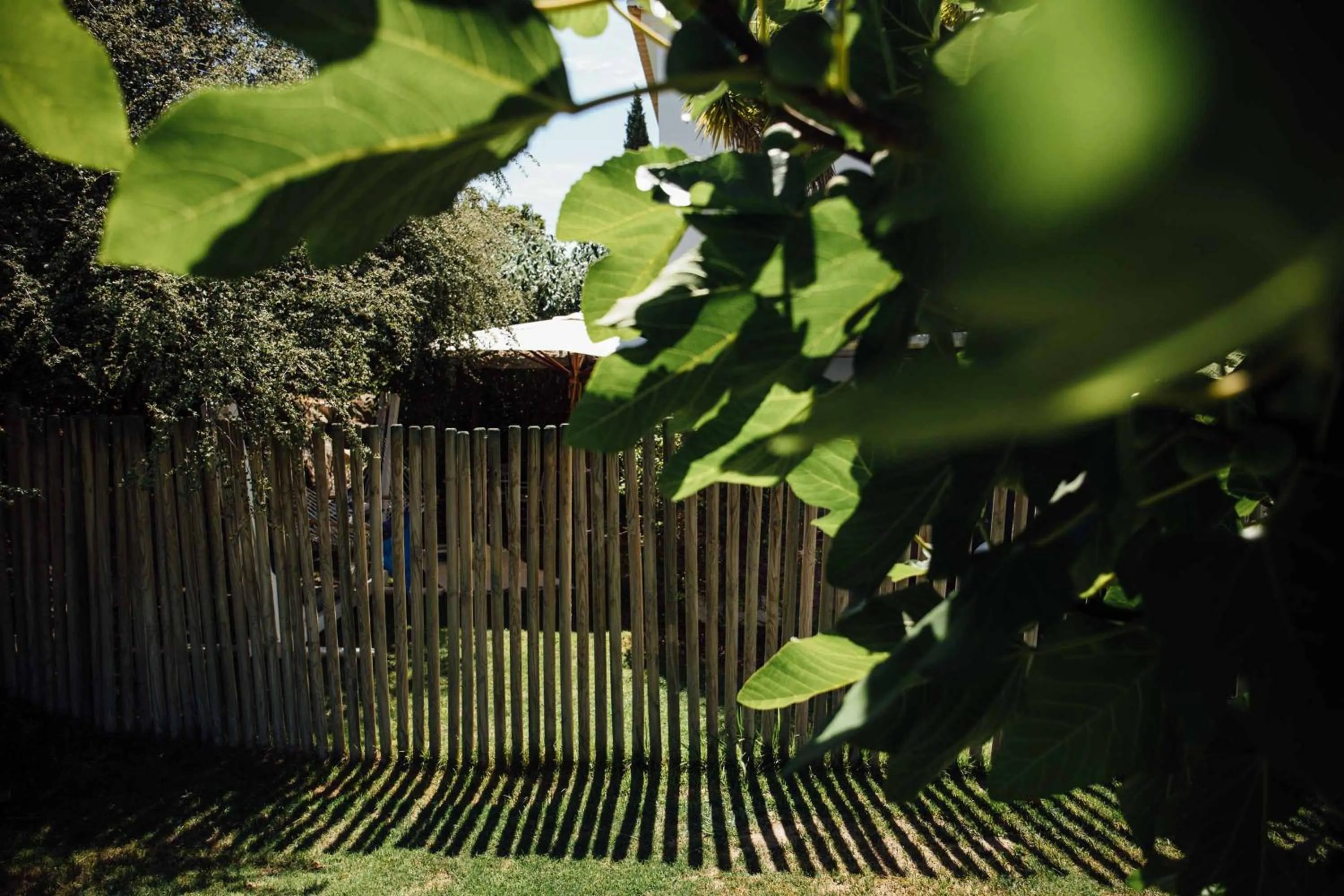 Spring in Octant Vila Monte