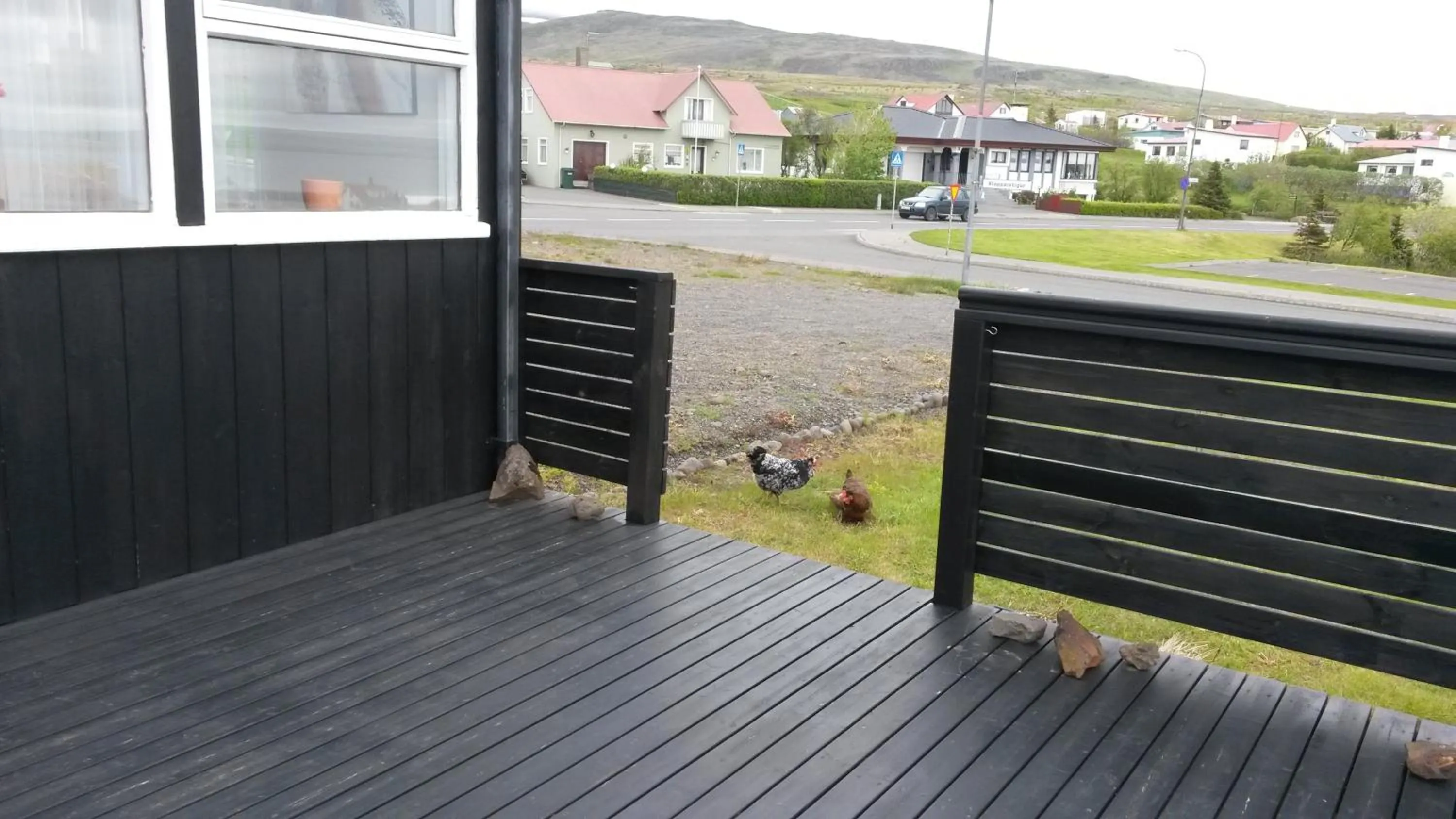 Balcony/Terrace in ALBERT Guesthouse