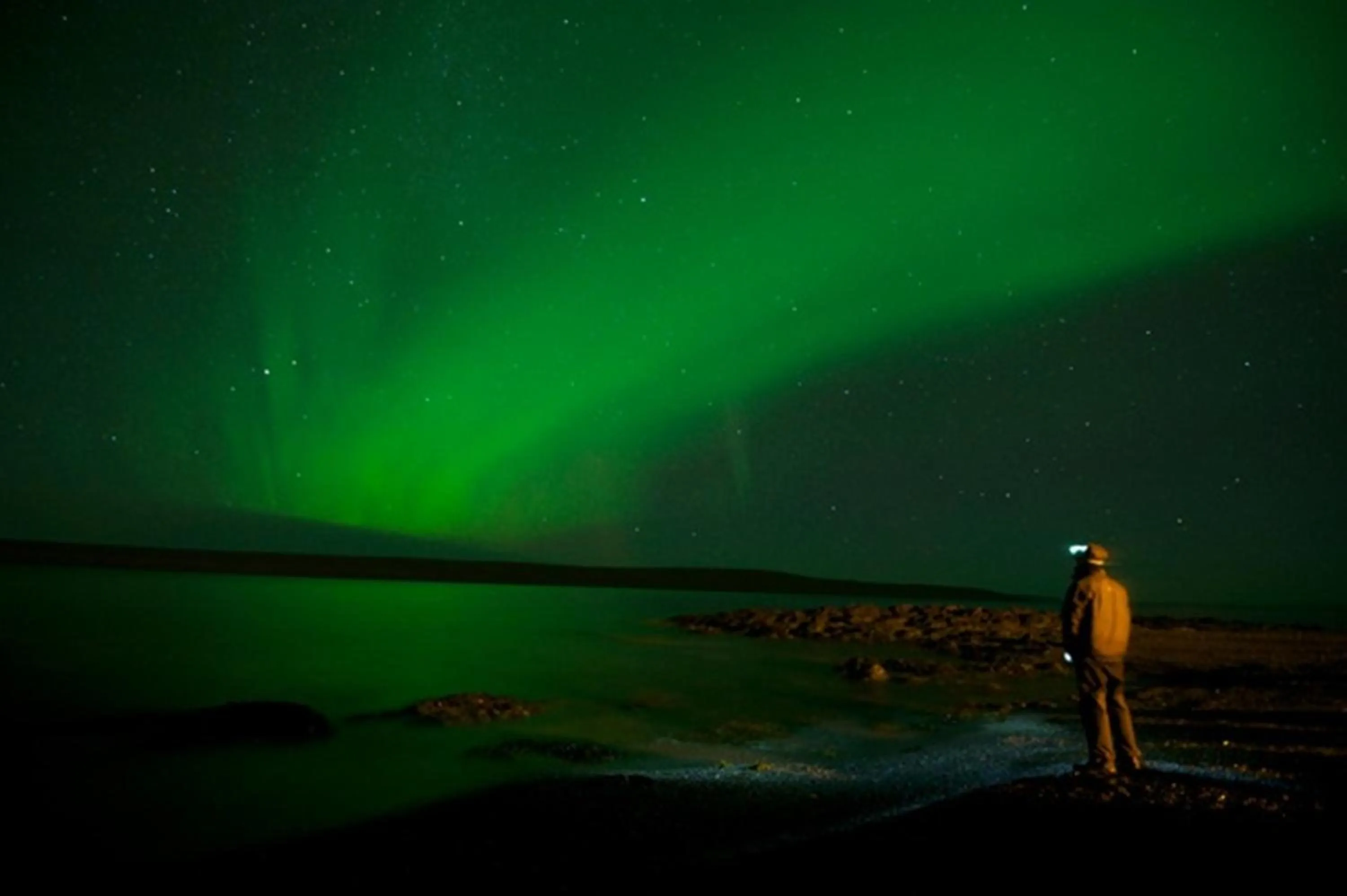 Night in ALBERT Guesthouse