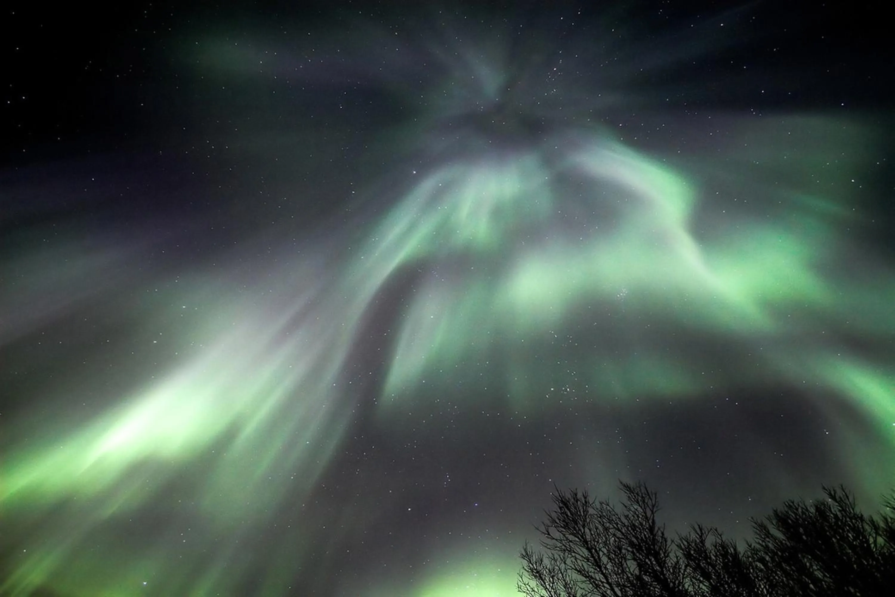 Night in ALBERT Guesthouse