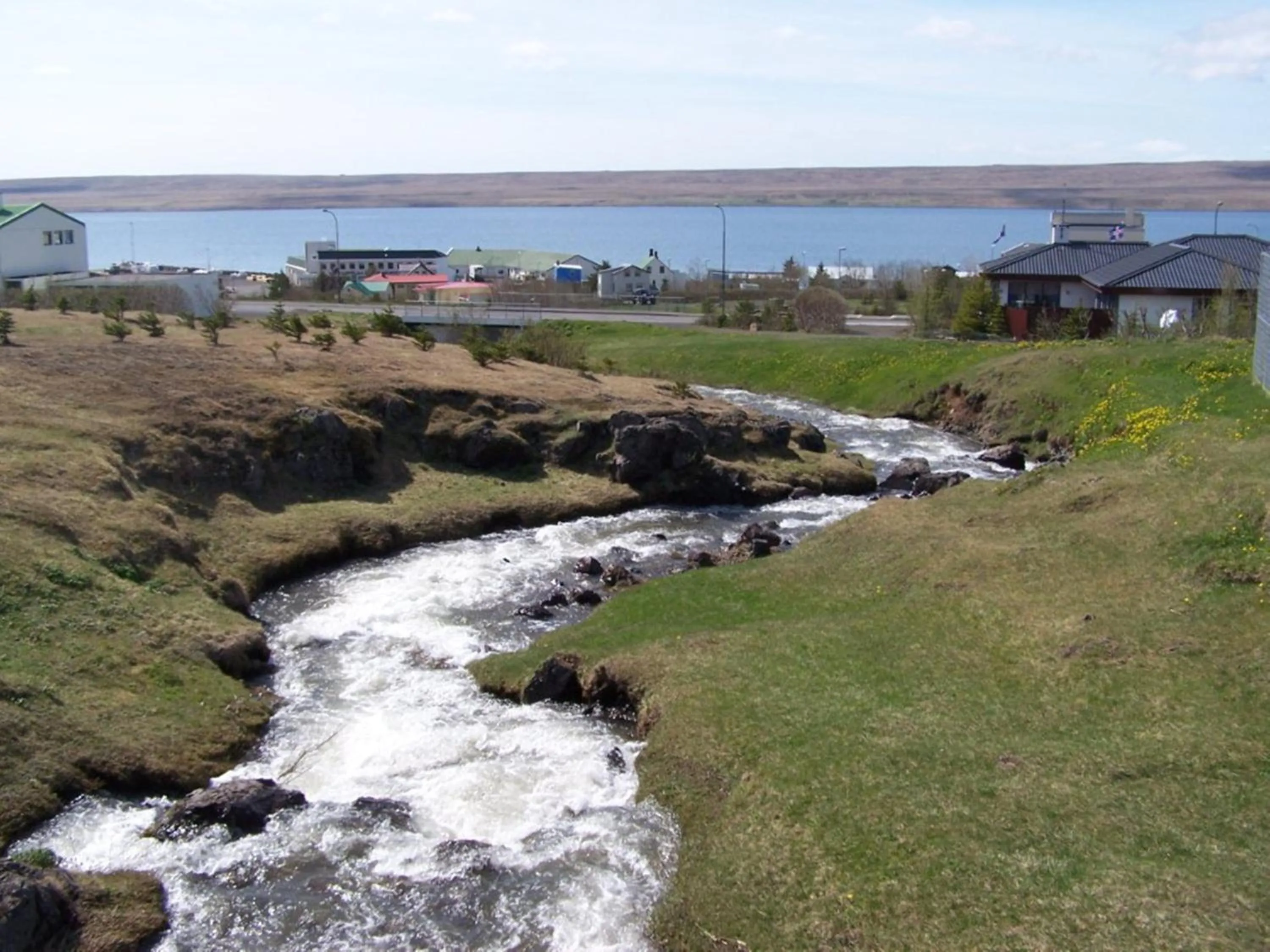 Day in ALBERT Guesthouse