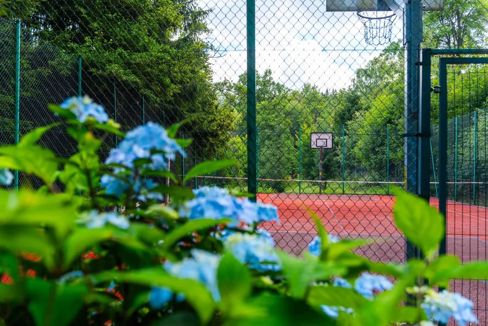 Garden in Villa Wernera Hotel & Spa