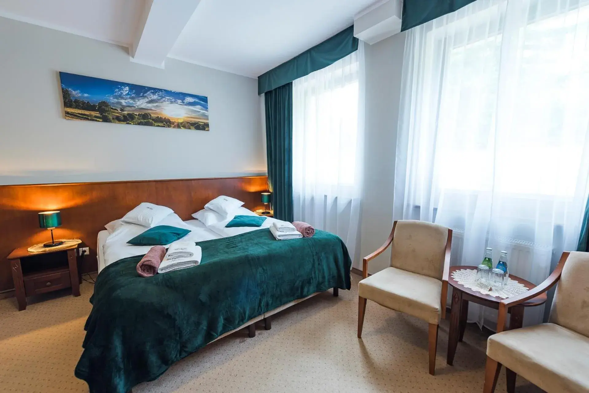 Standard Double Room in Villa Wernera Hotel & Spa Standard Double Room in Villa Wernera Hotel & Spa