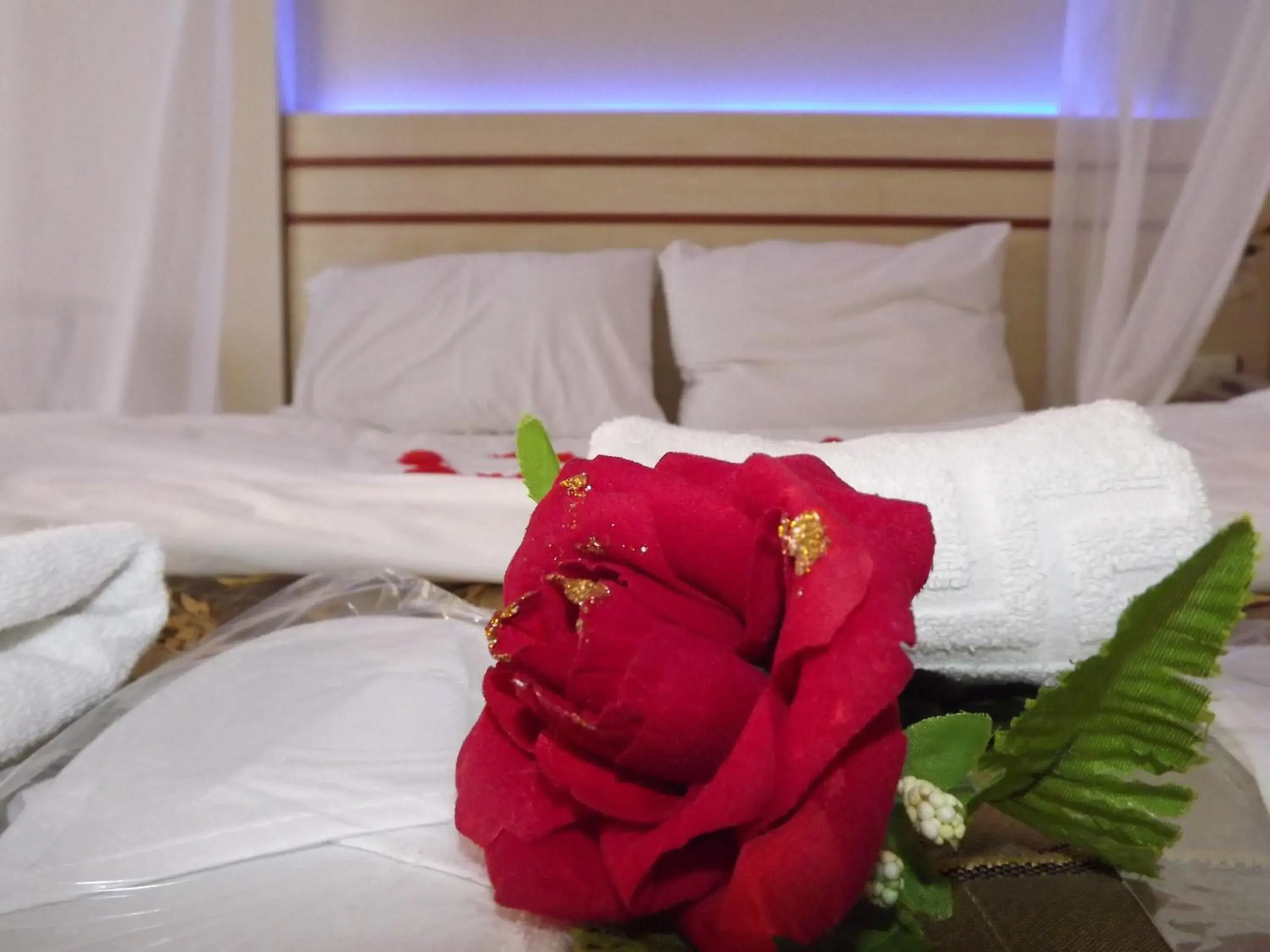 Standard Double Room in Ağva Ayışığı Otel Standard Double Room in Ağva Ayışığı Otel