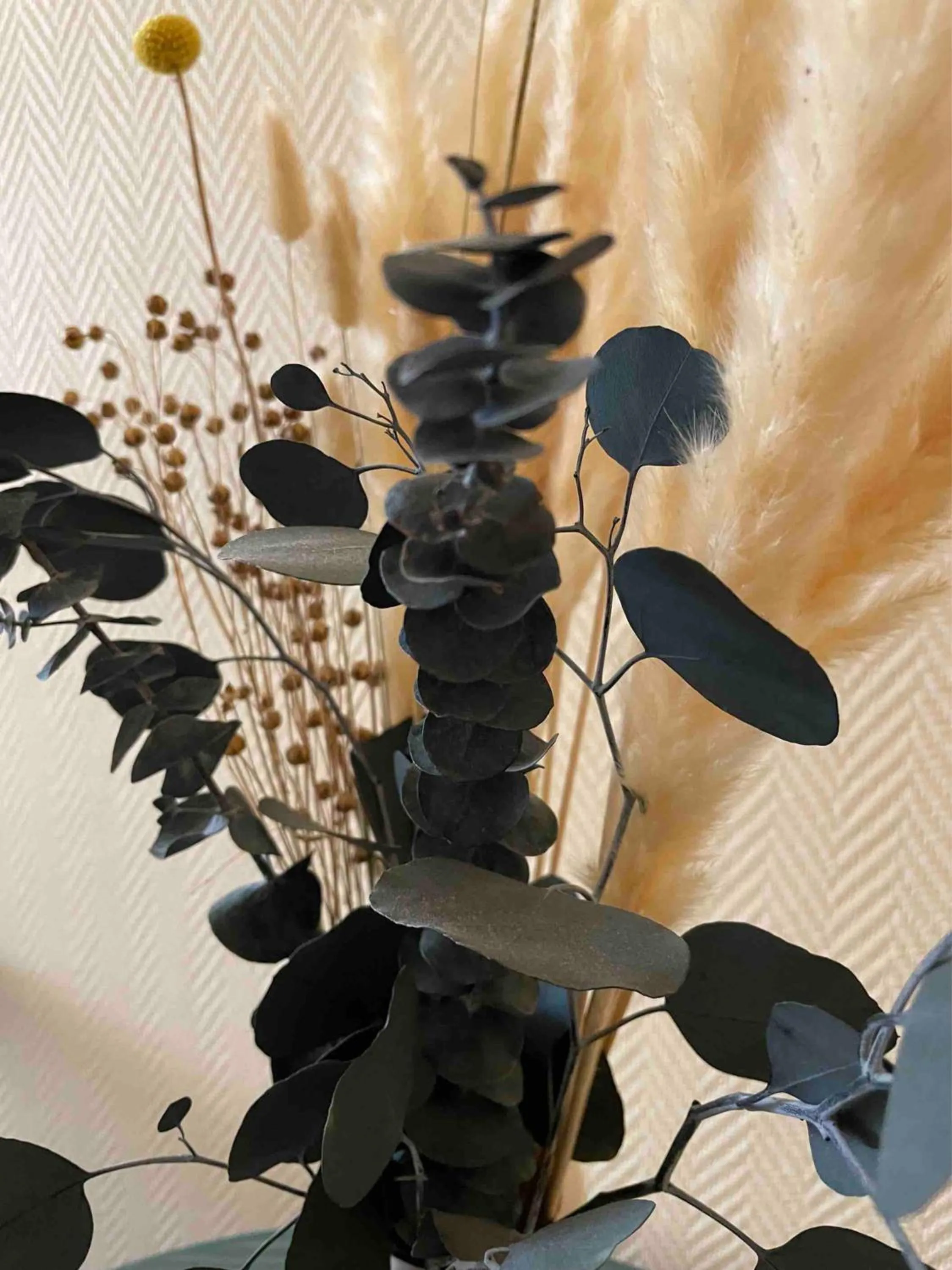 Facade/entrance in Hotel Villa Schwanebeck