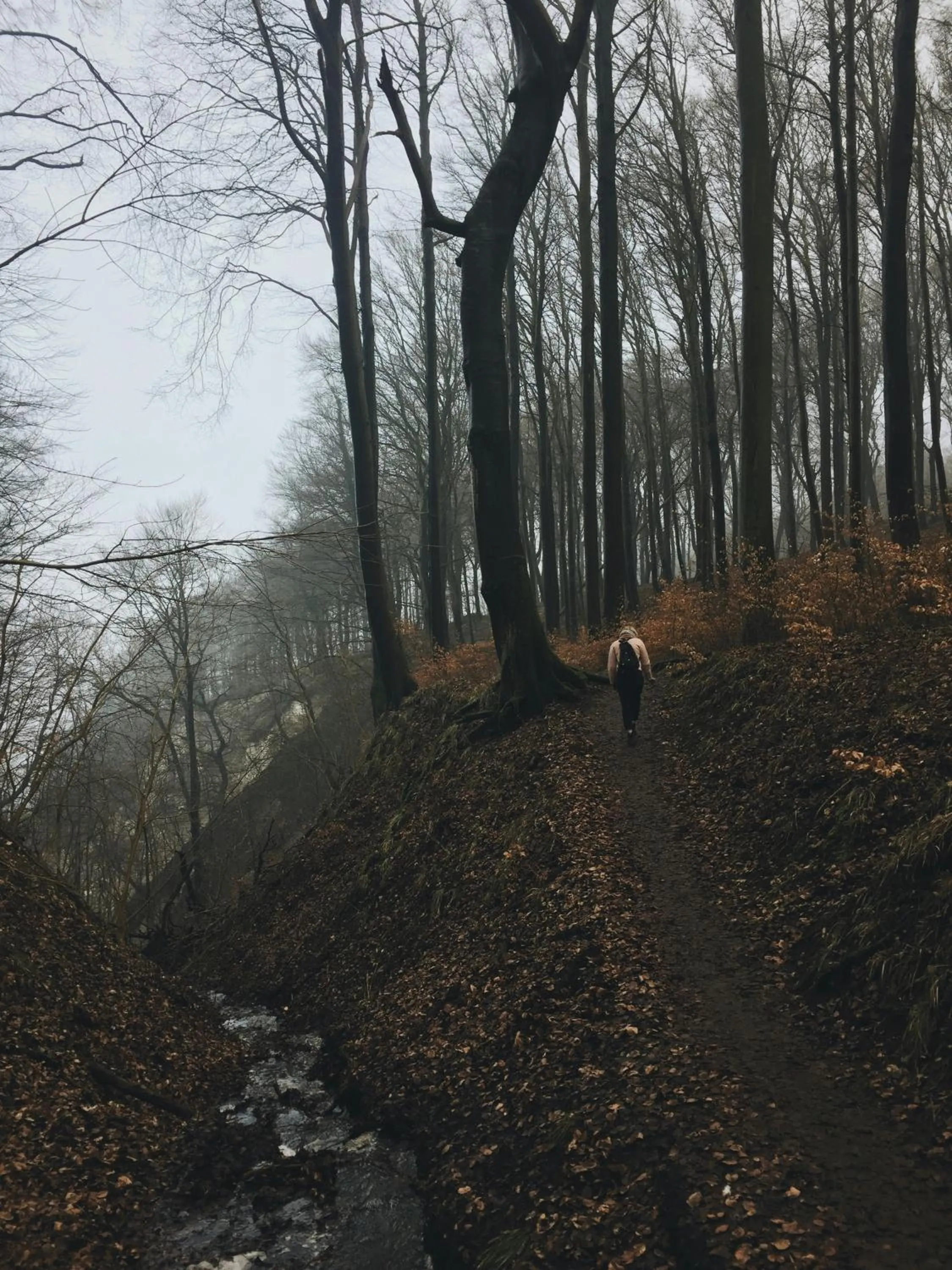 Activities in Hotel Villa Schwanebeck