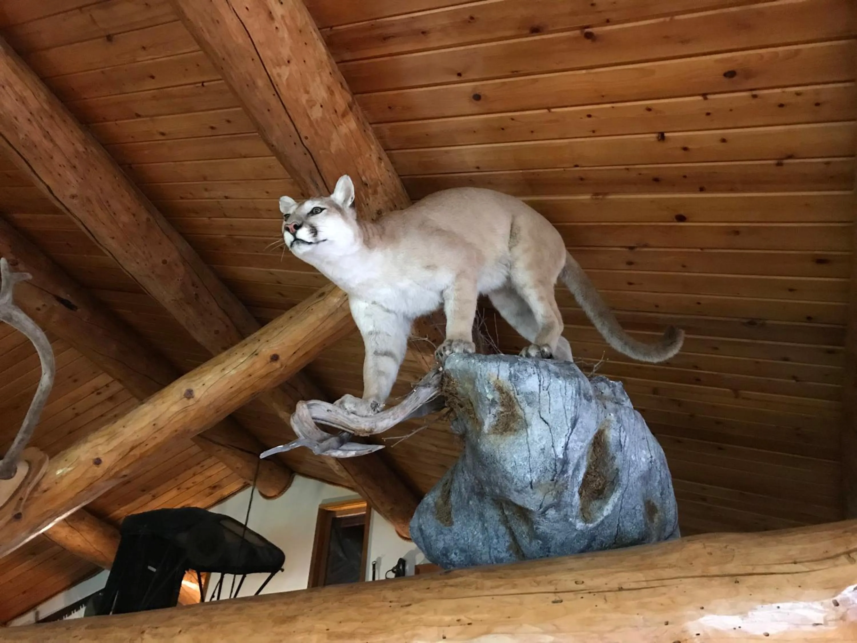 Communal lounge/ TV room in Lake Louise Lodge, Alaska