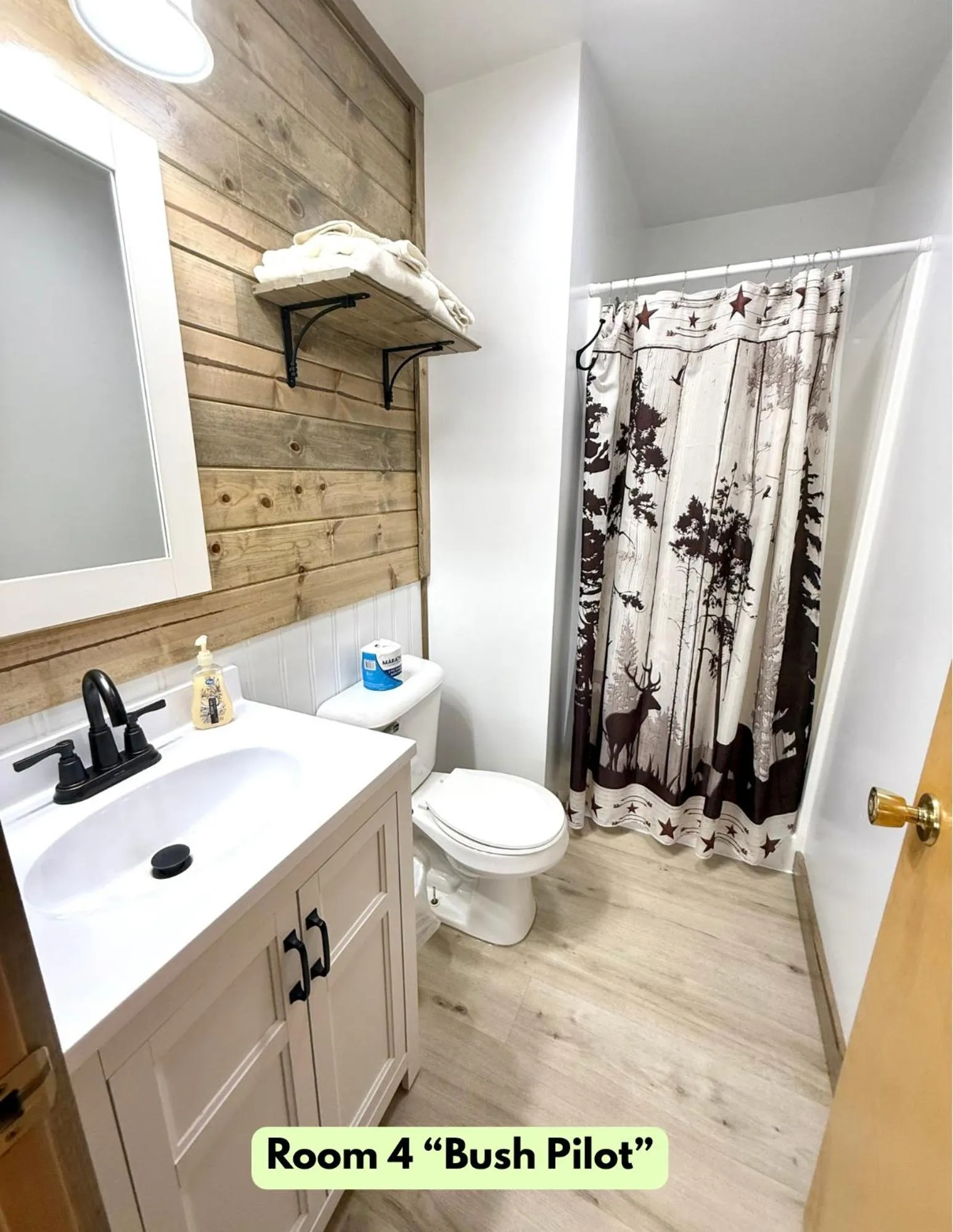 Lake Louise Lodge, Alaska