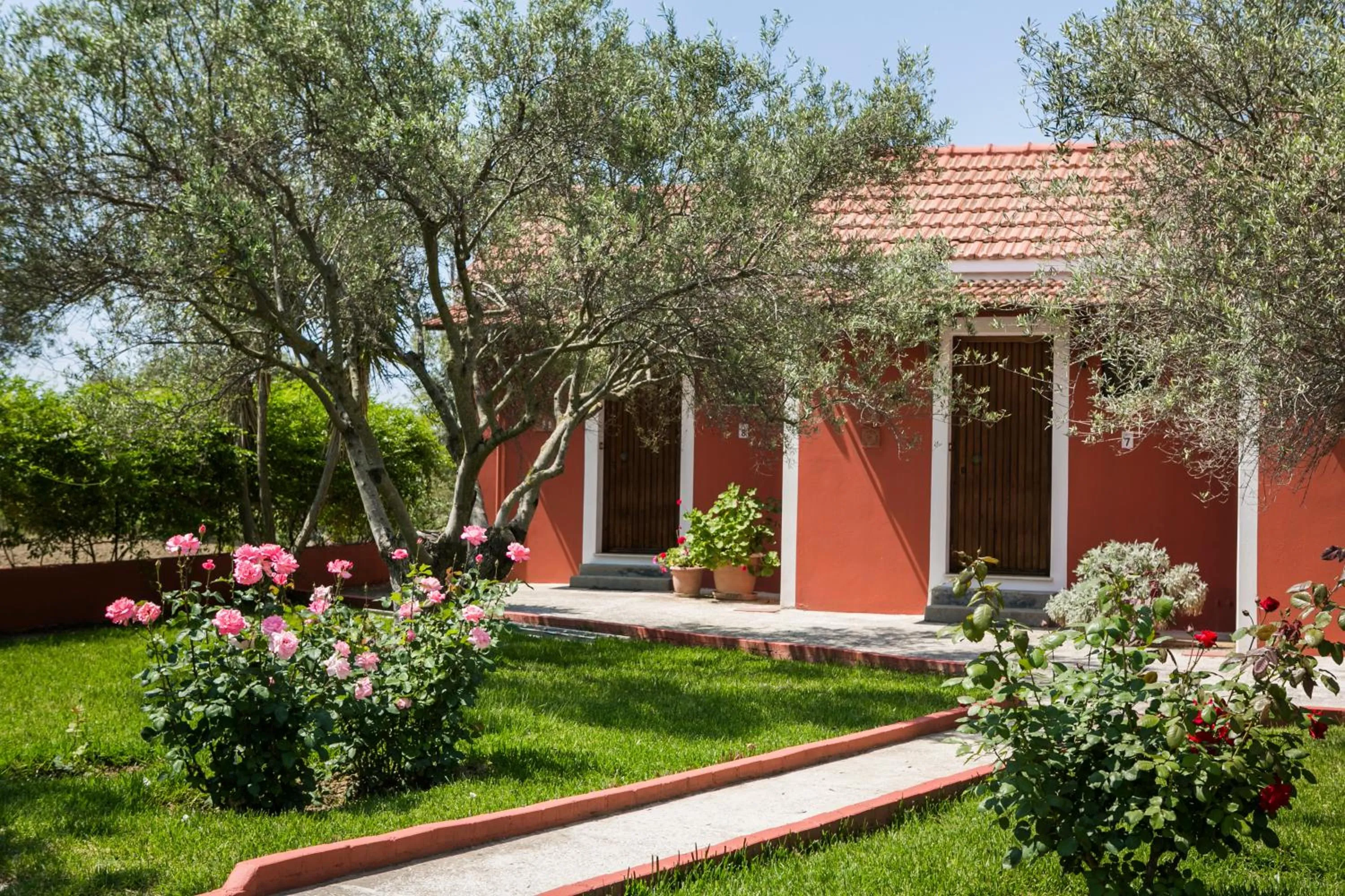 Property building in Dendrolivano