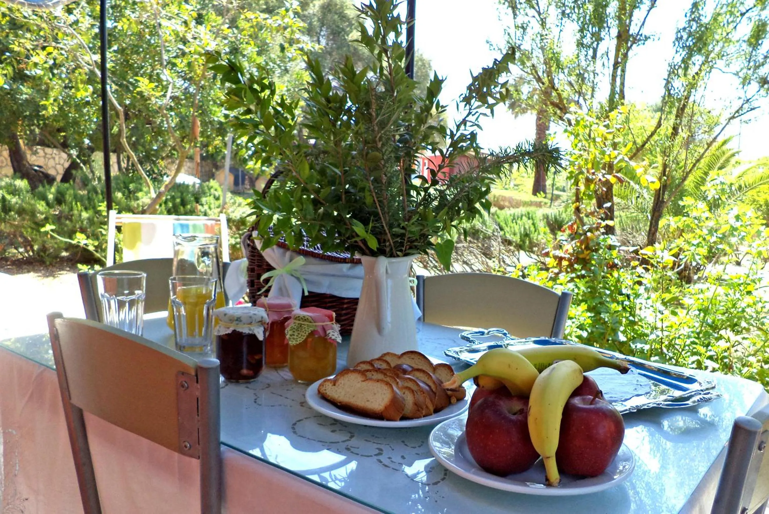 Balcony/Terrace in Dendrolivano