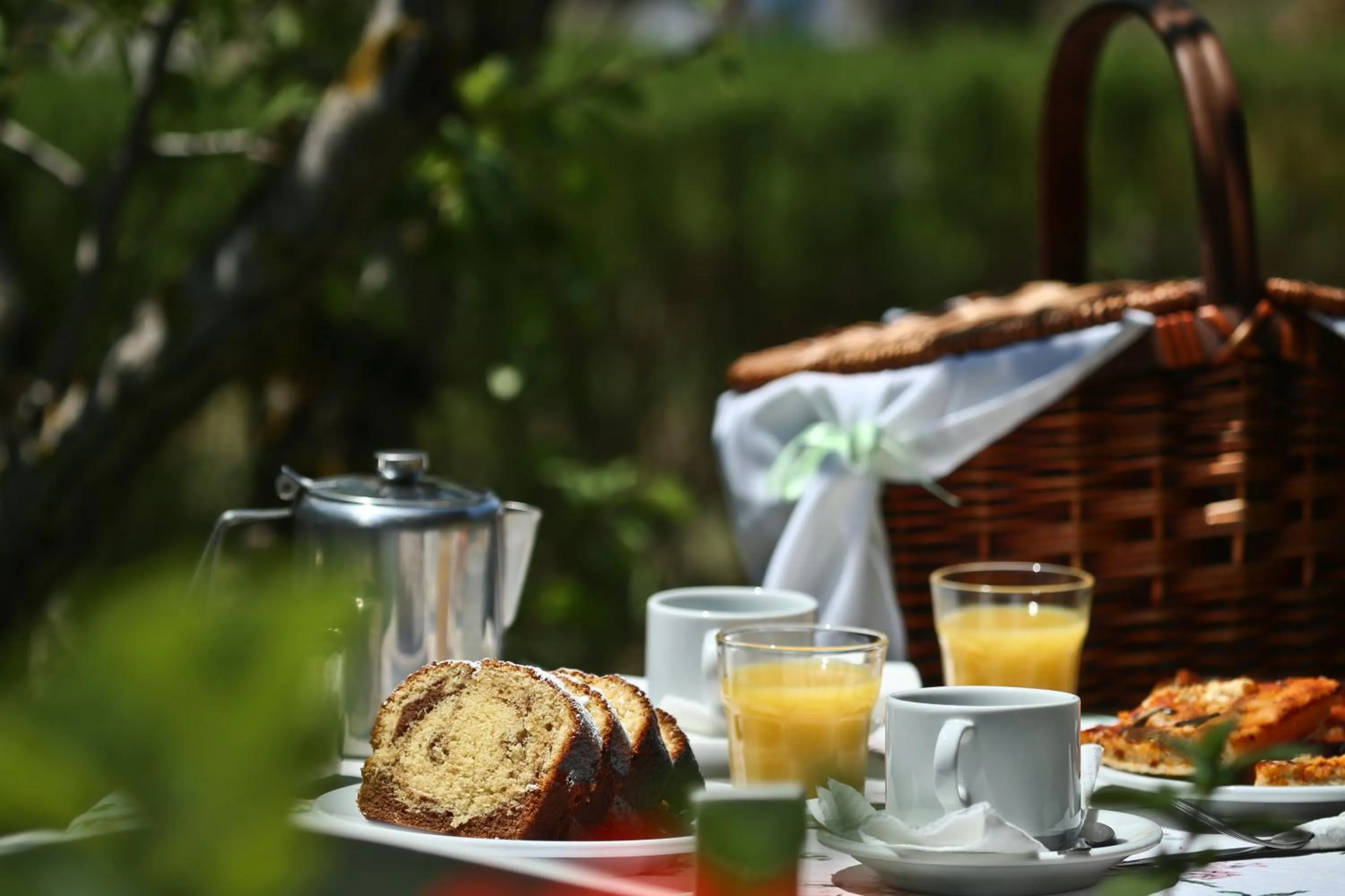 Breakfast in Dendrolivano