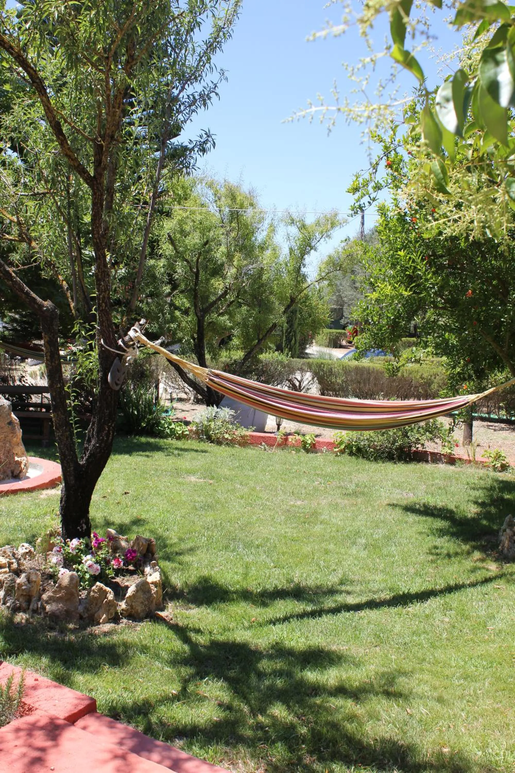 Garden in Dendrolivano